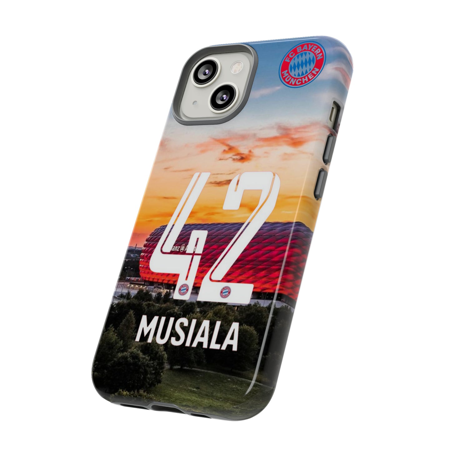 Allianz Arena Case
