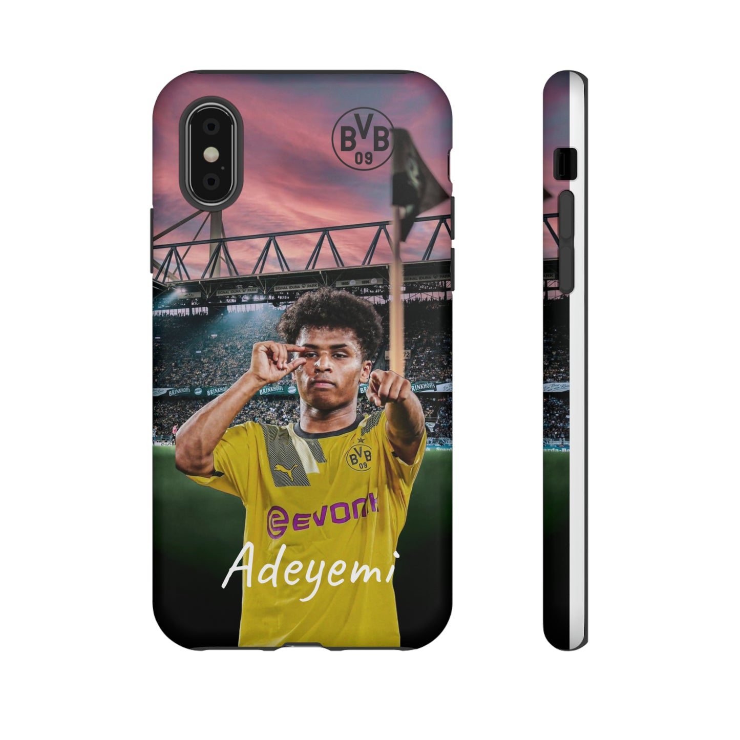 Adeyemi BVB Case