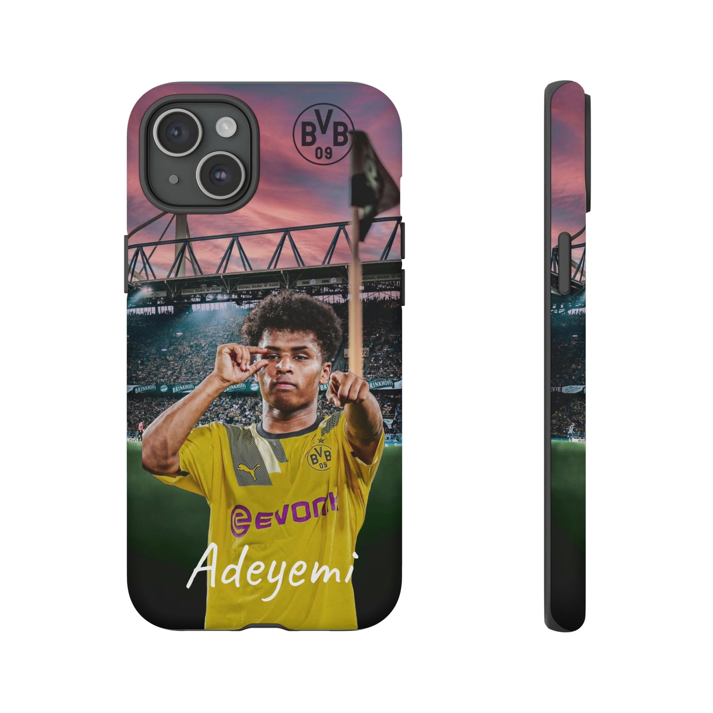 Adeyemi BVB Case