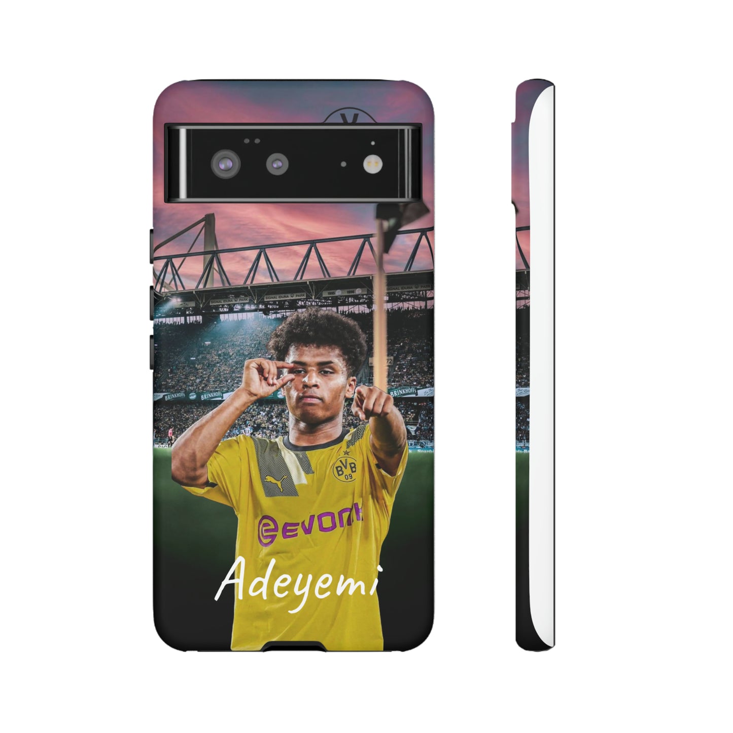 Adeyemi BVB Case
