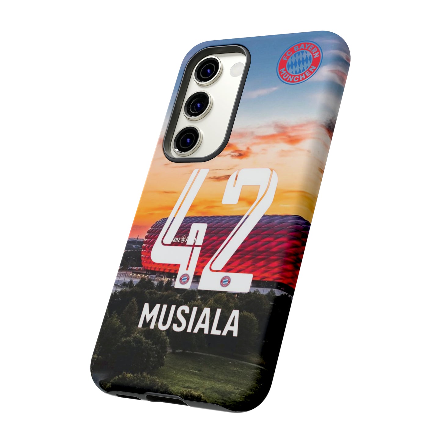 Allianz Arena Case