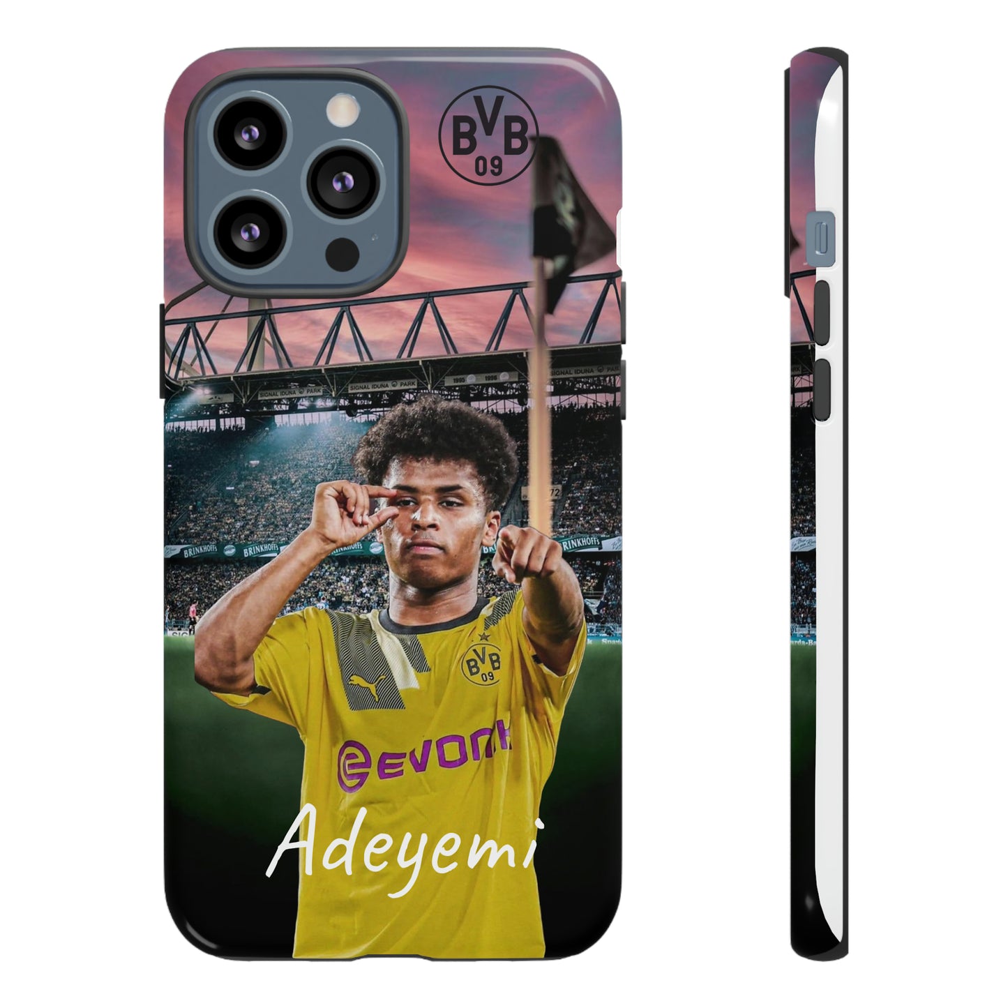 Adeyemi BVB Case