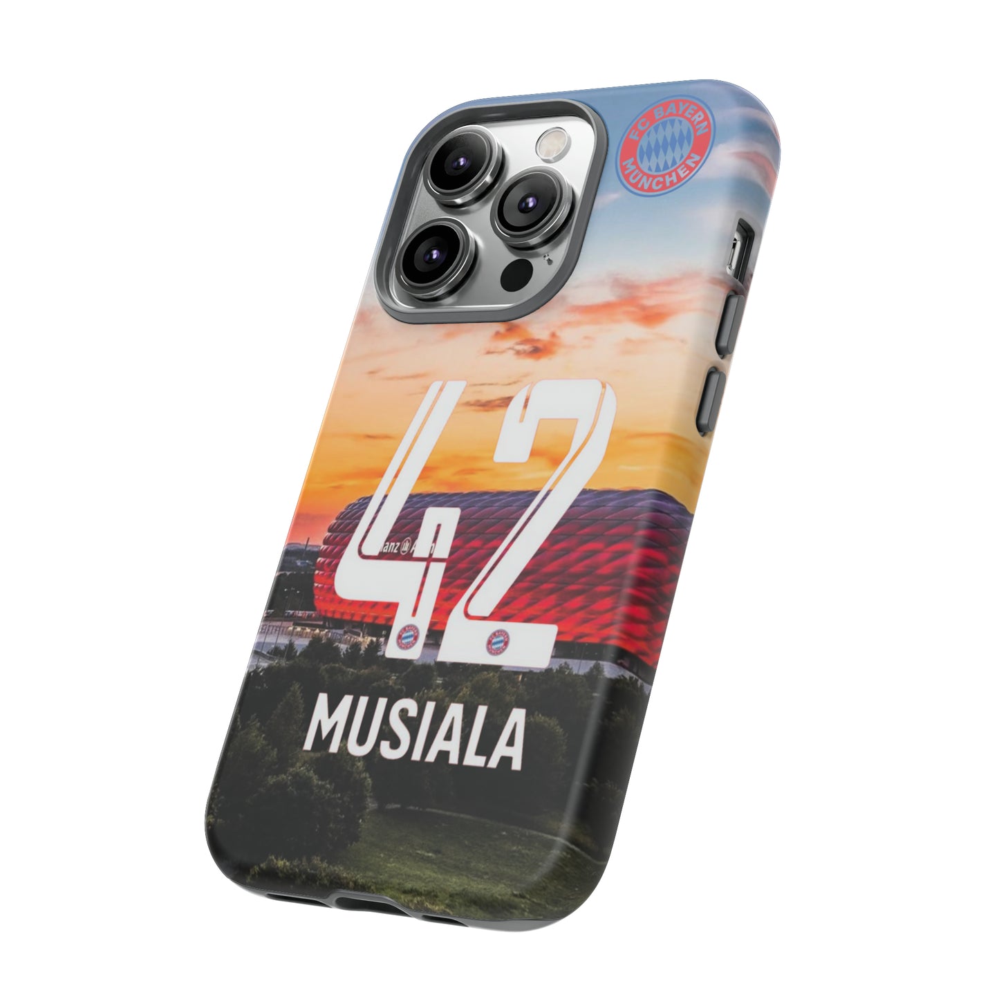 Allianz Arena Case