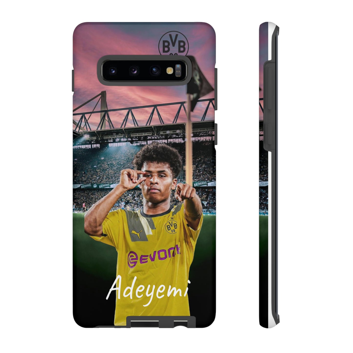 Adeyemi BVB Case