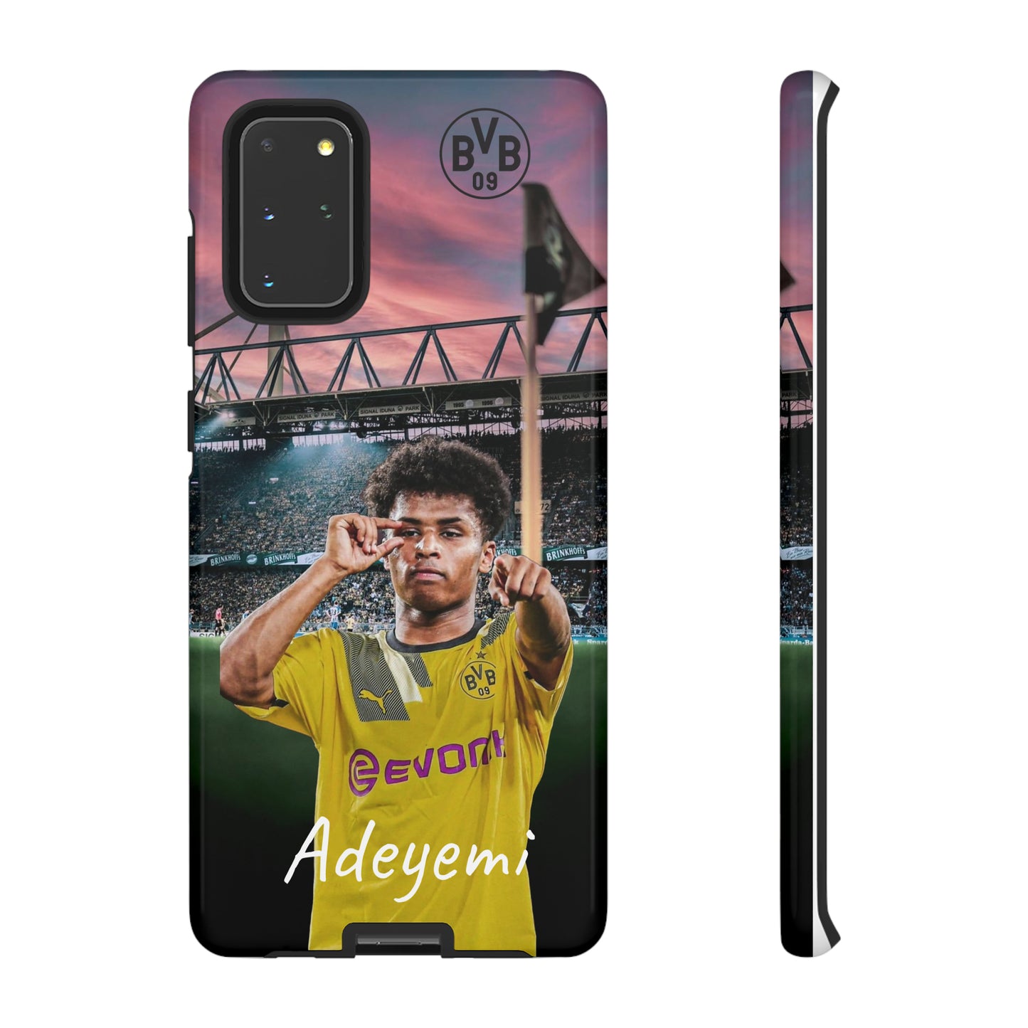 Adeyemi BVB Case