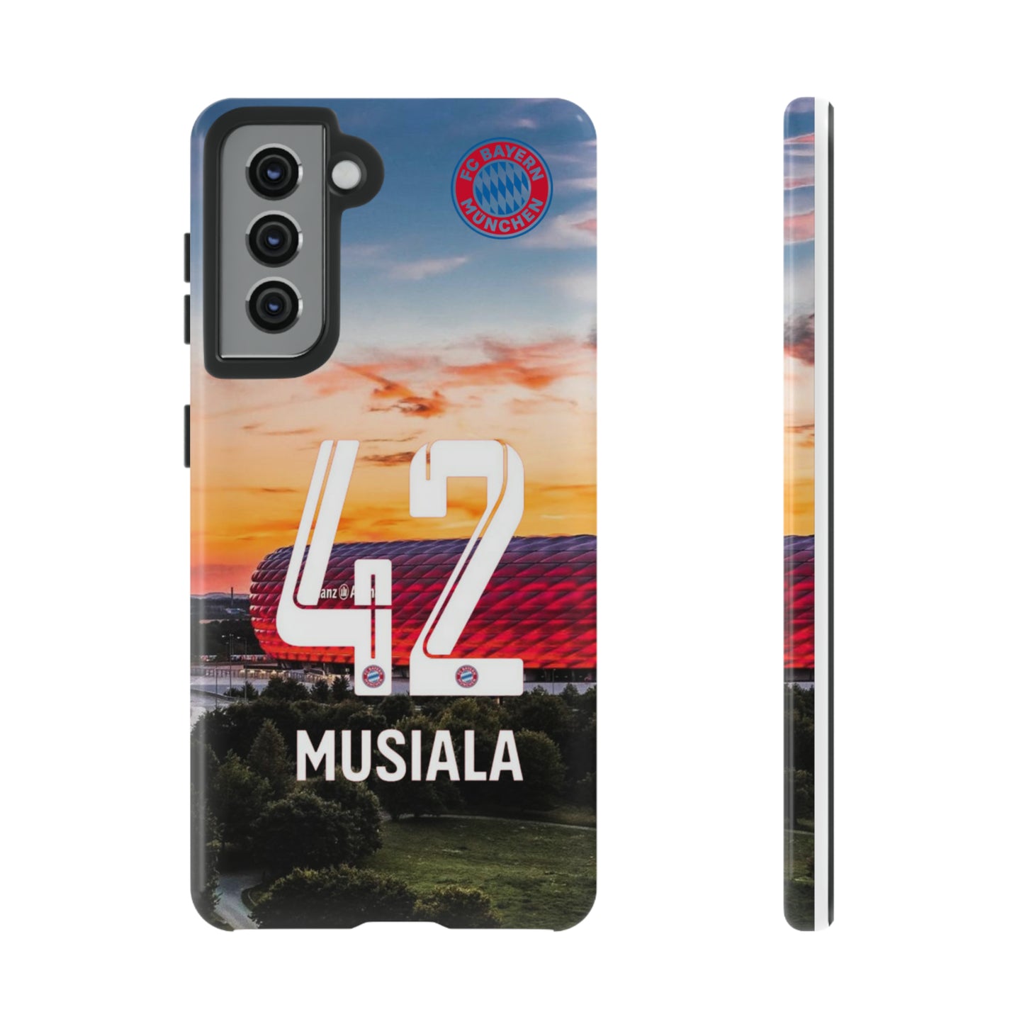 Allianz Arena Case