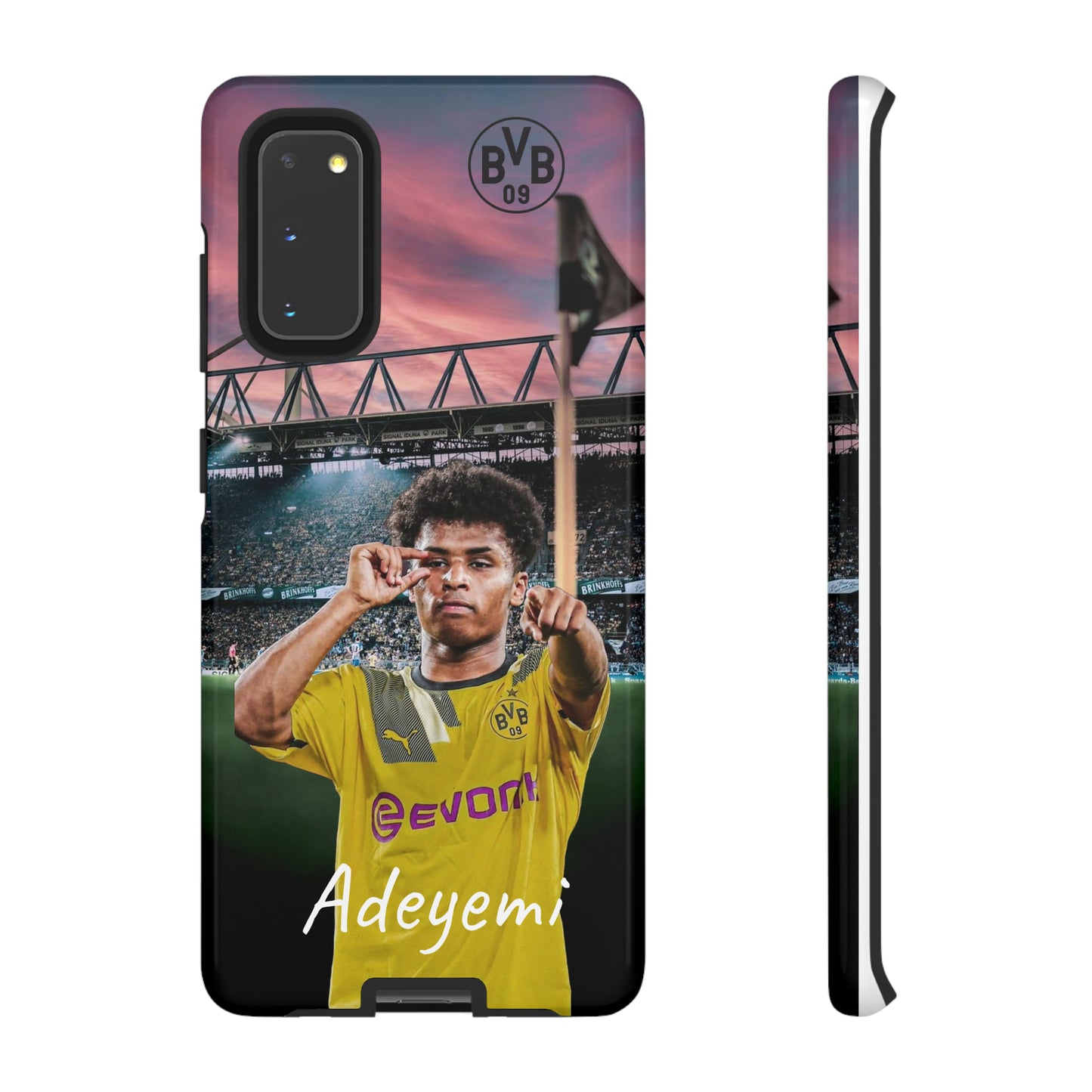 Adeyemi BVB Case