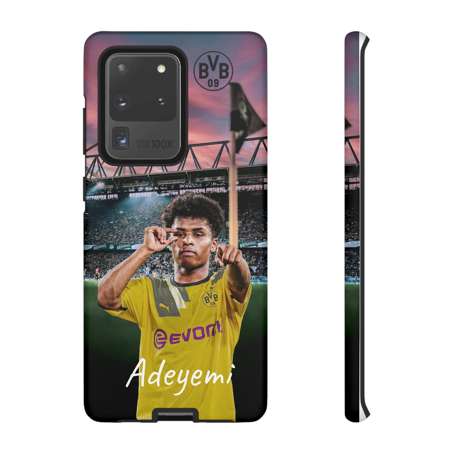 Adeyemi BVB Case