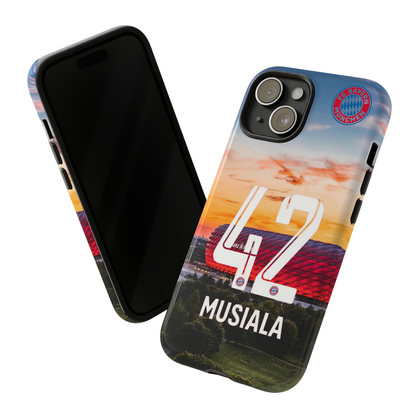 Allianz Arena Case