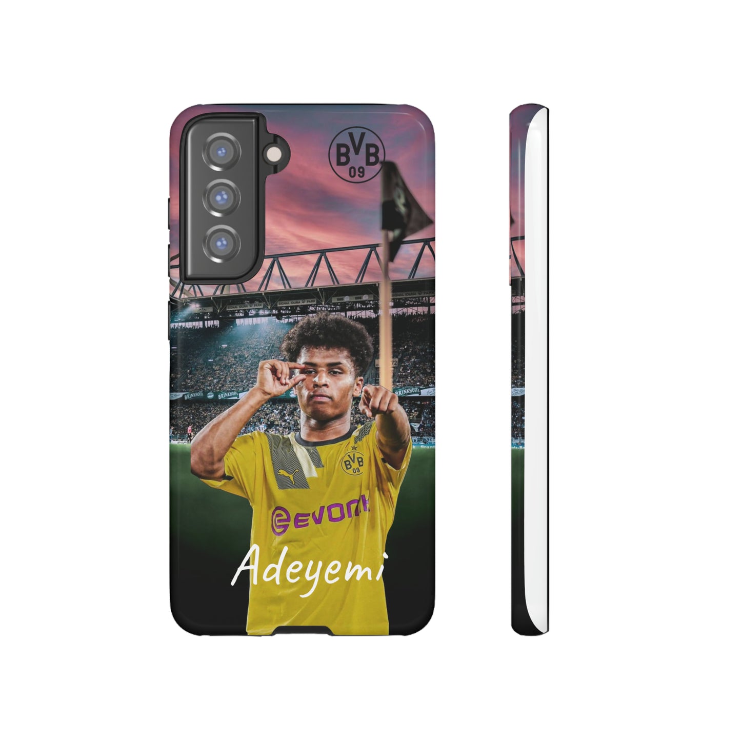 Adeyemi BVB Case