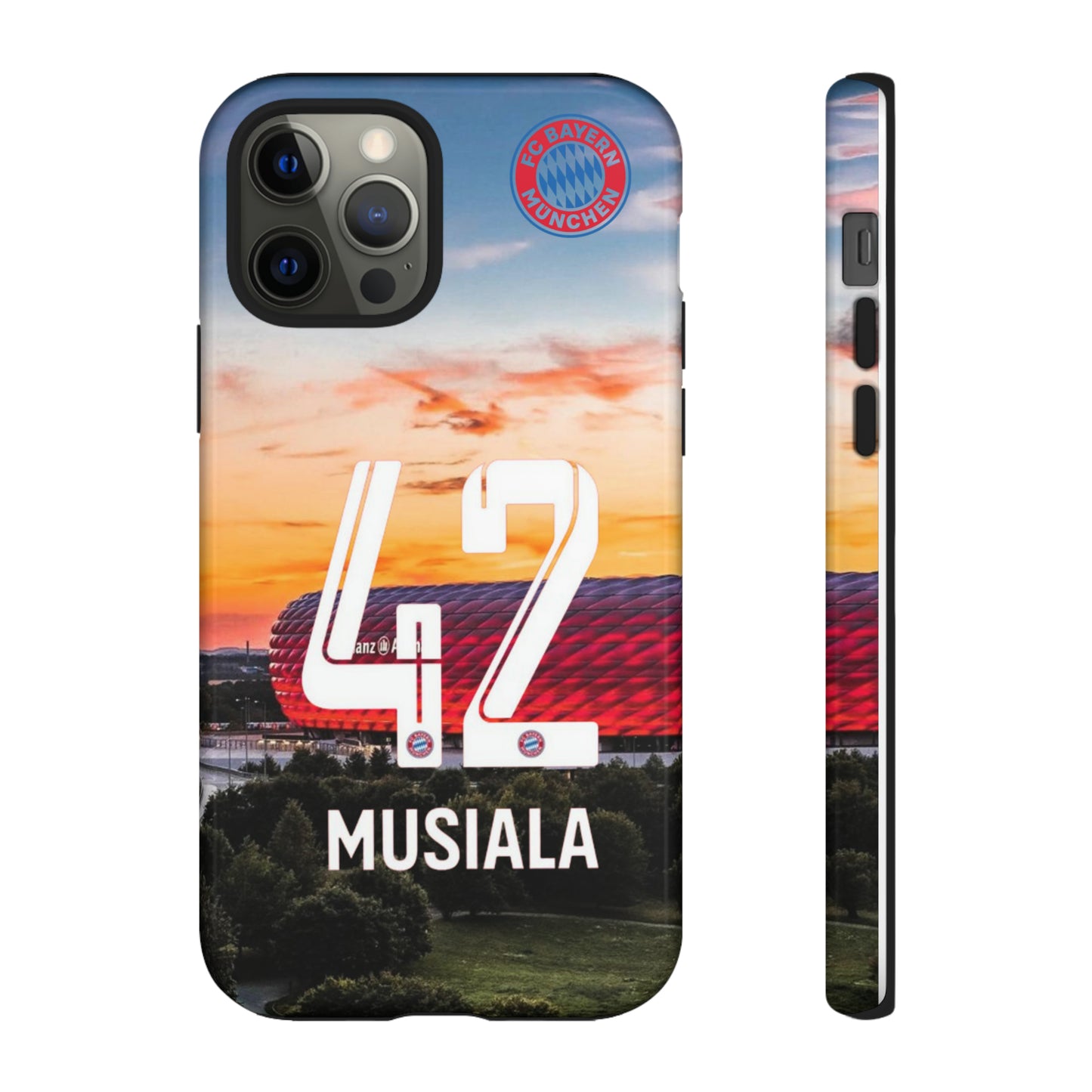 Allianz Arena Case