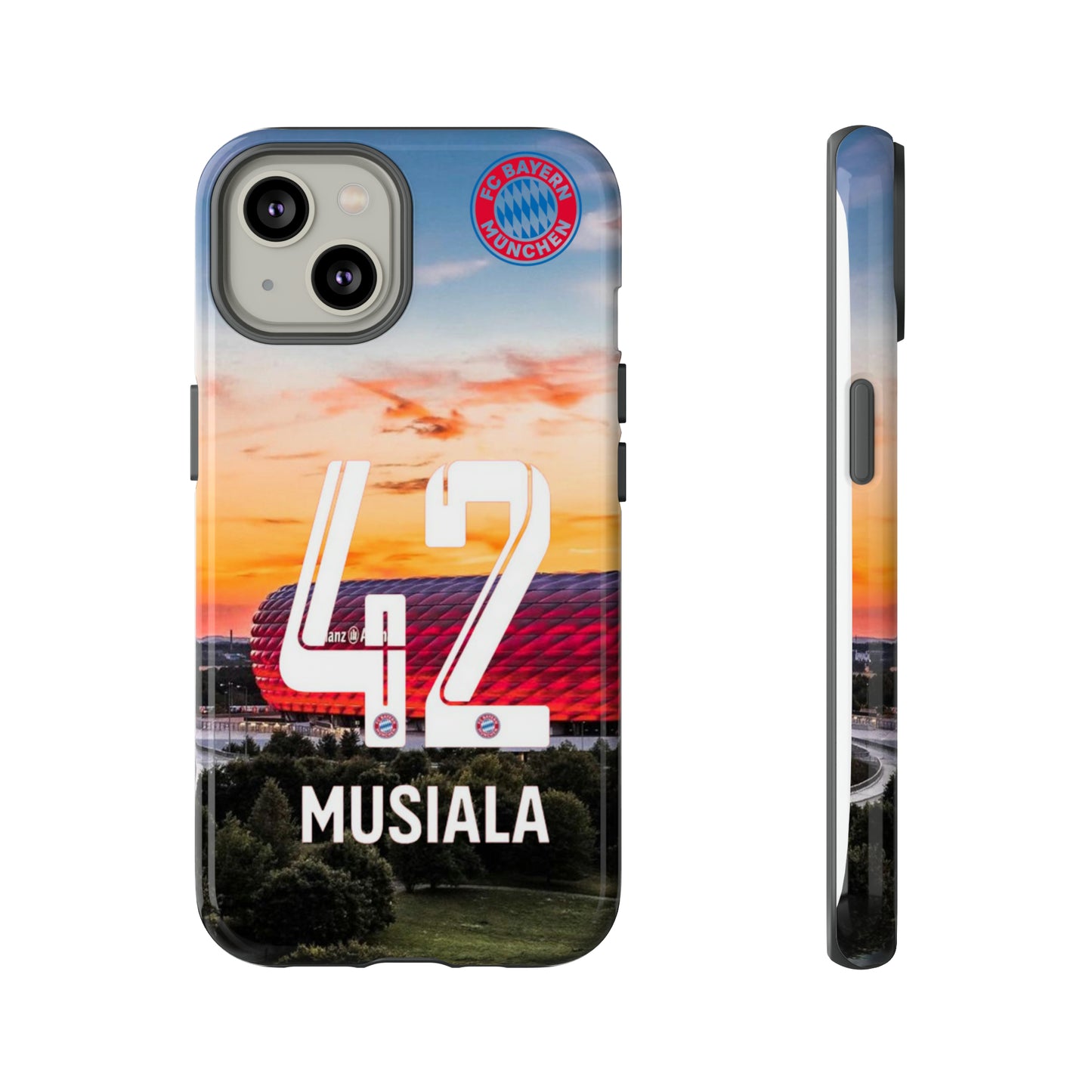 Allianz Arena Case