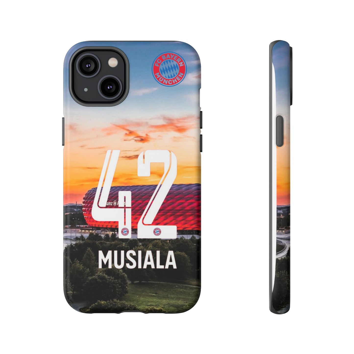 Allianz Arena Case