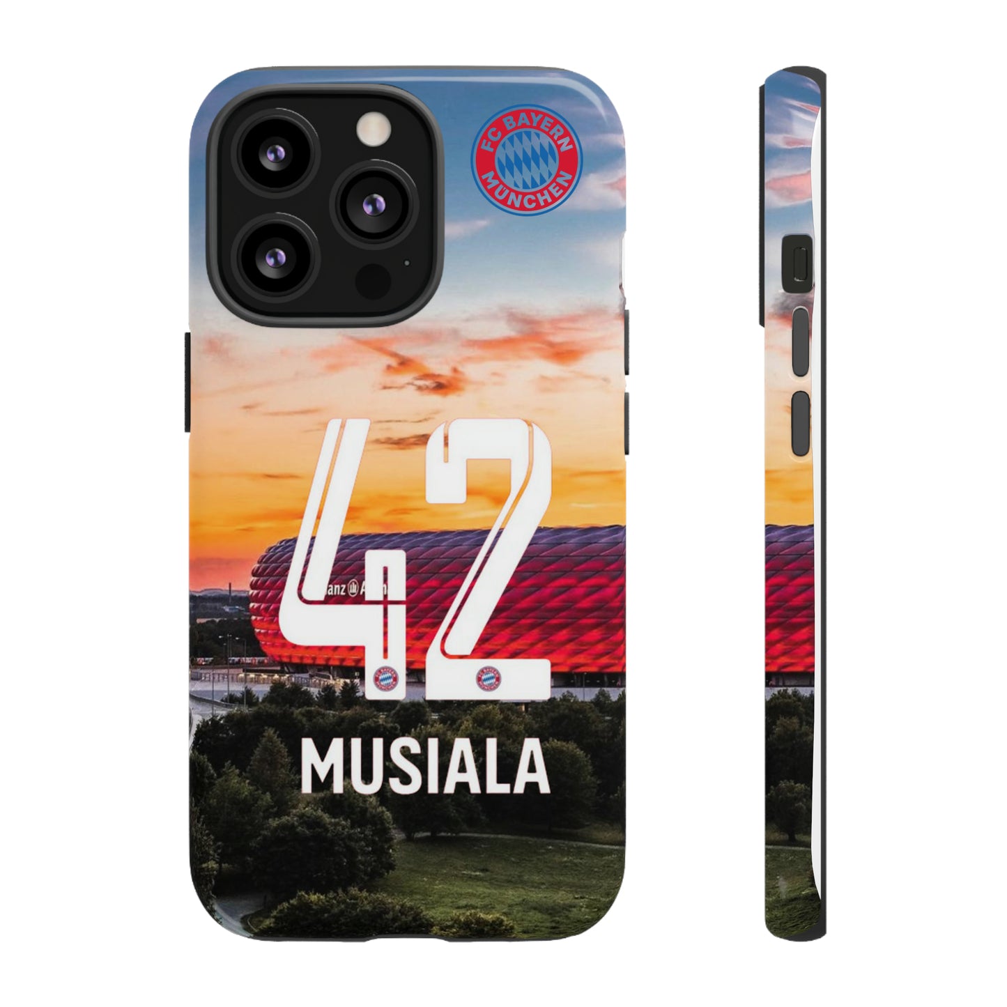 Allianz Arena Case