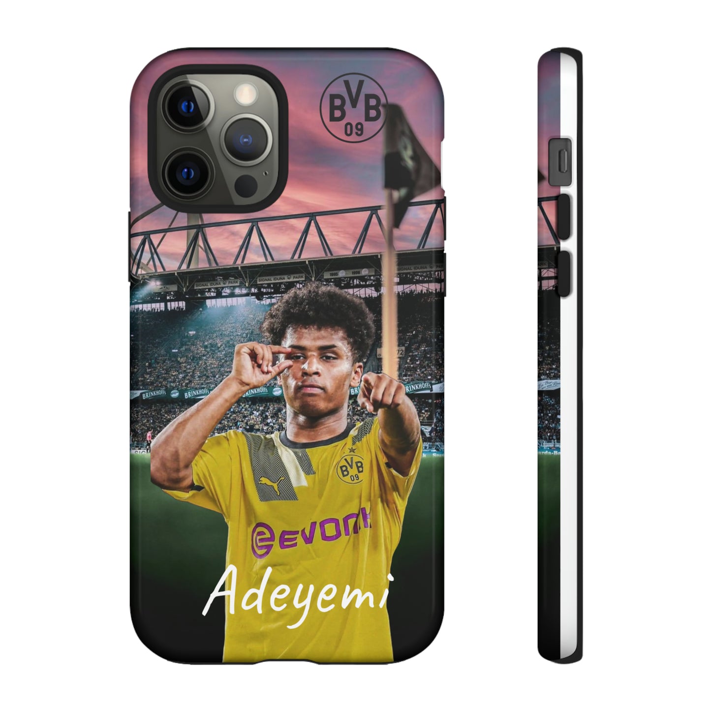 Adeyemi BVB Case