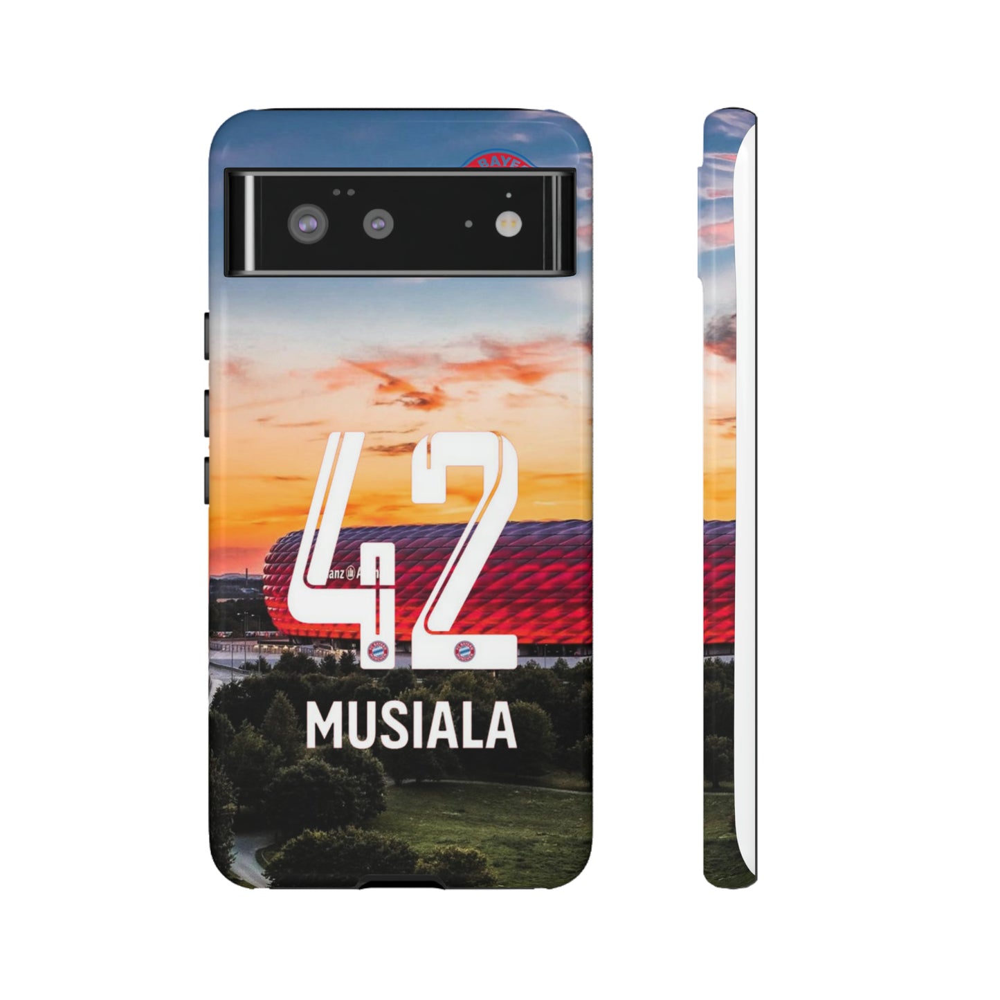 Allianz Arena Case