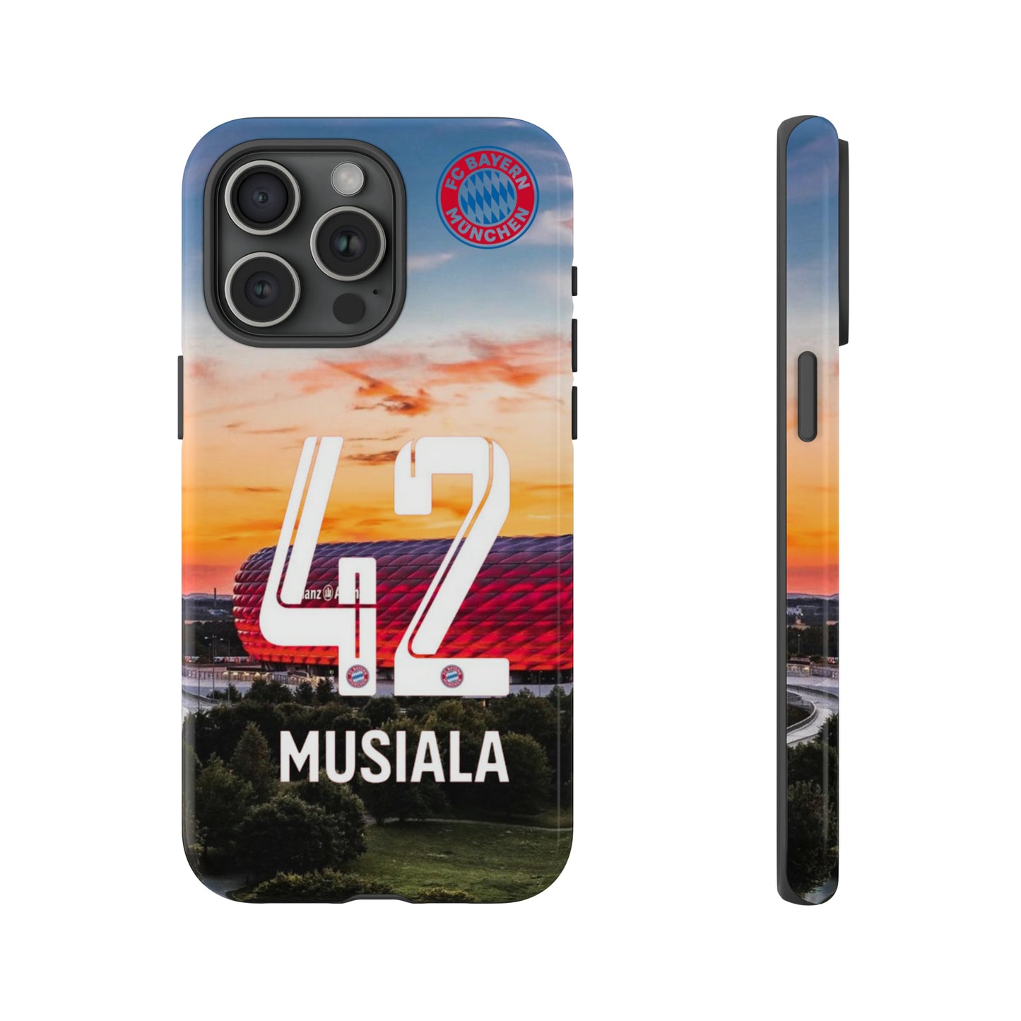 Allianz Arena Case