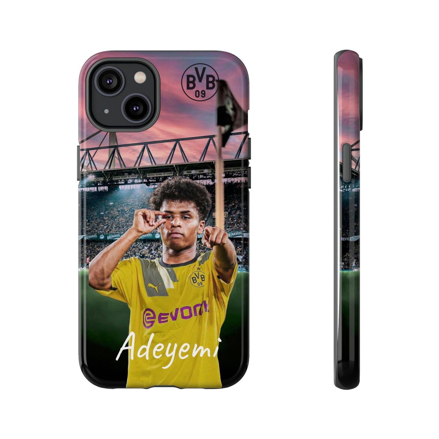 Adeyemi BVB Case