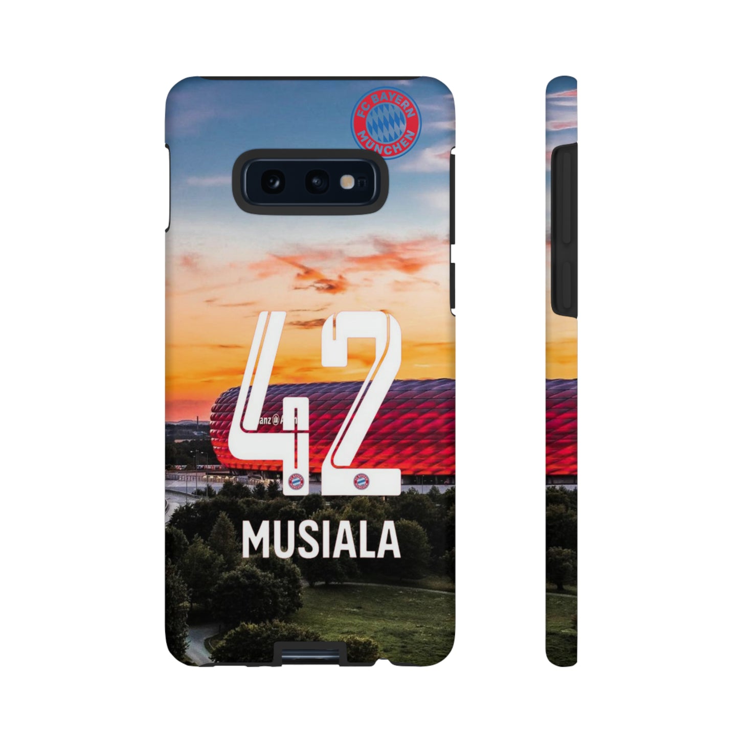 Allianz Arena Case