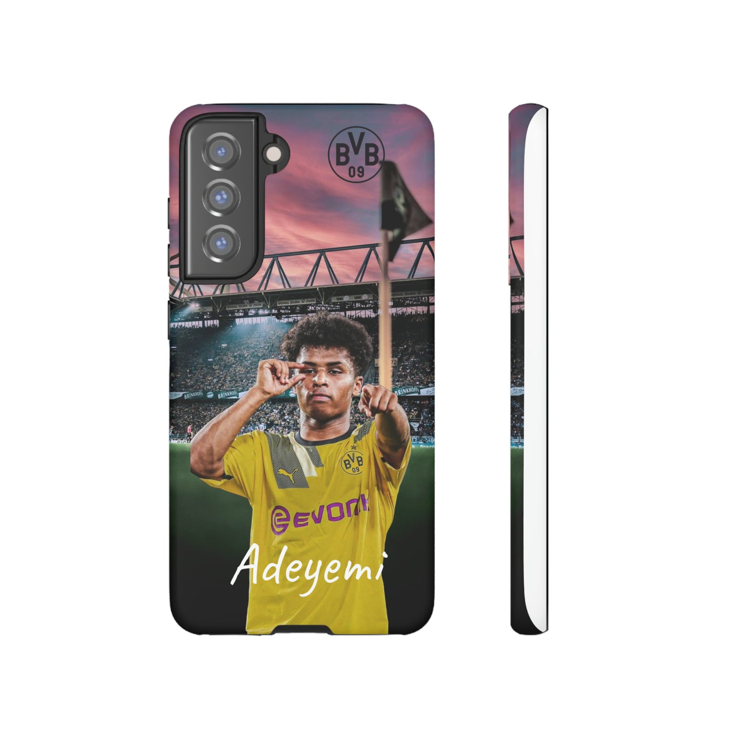 Adeyemi BVB Case