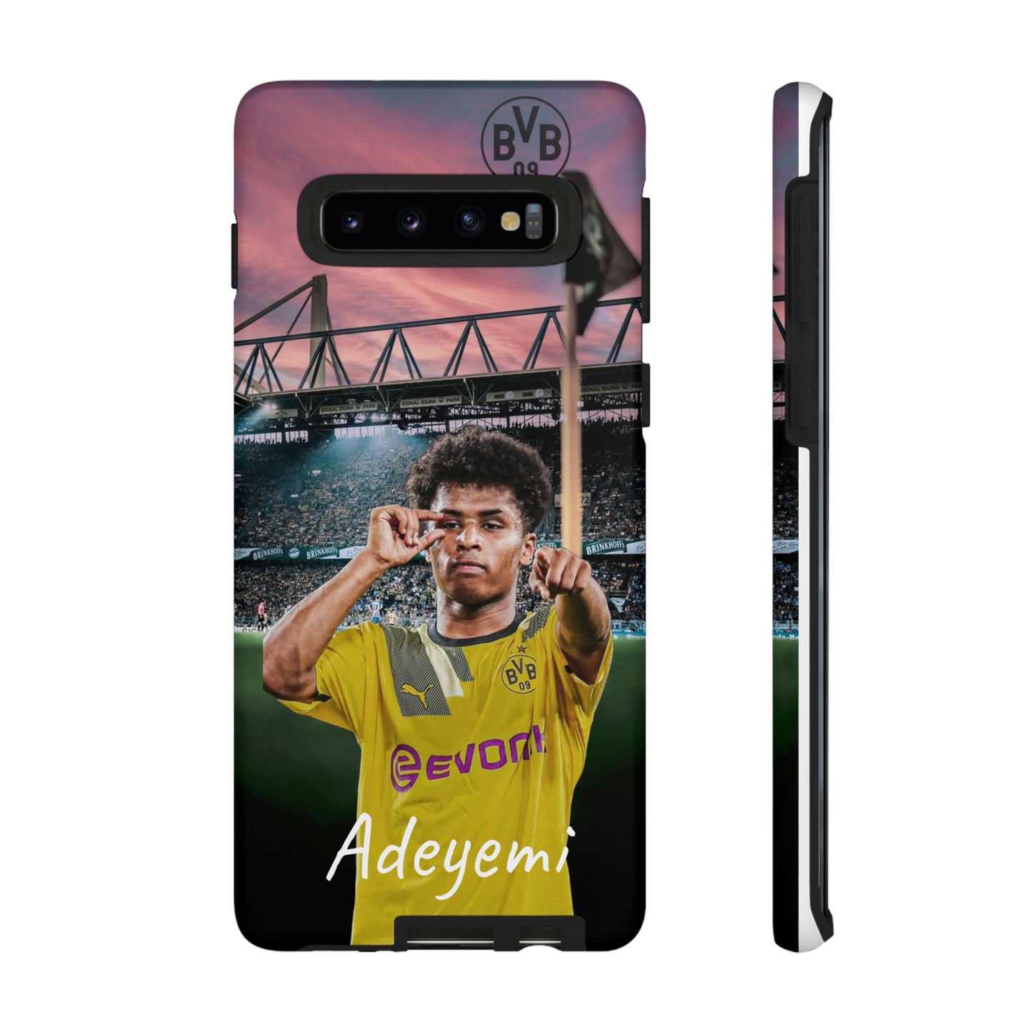Adeyemi BVB Case