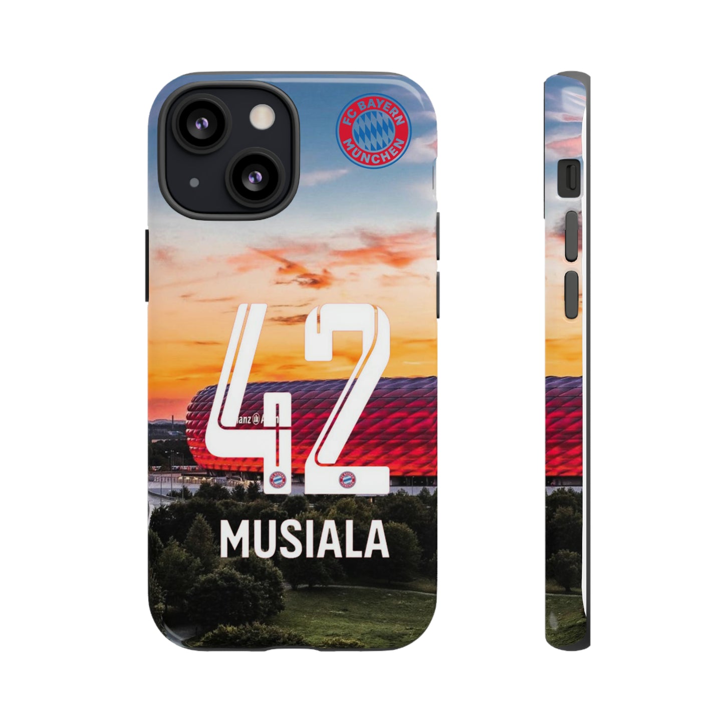 Allianz Arena Case
