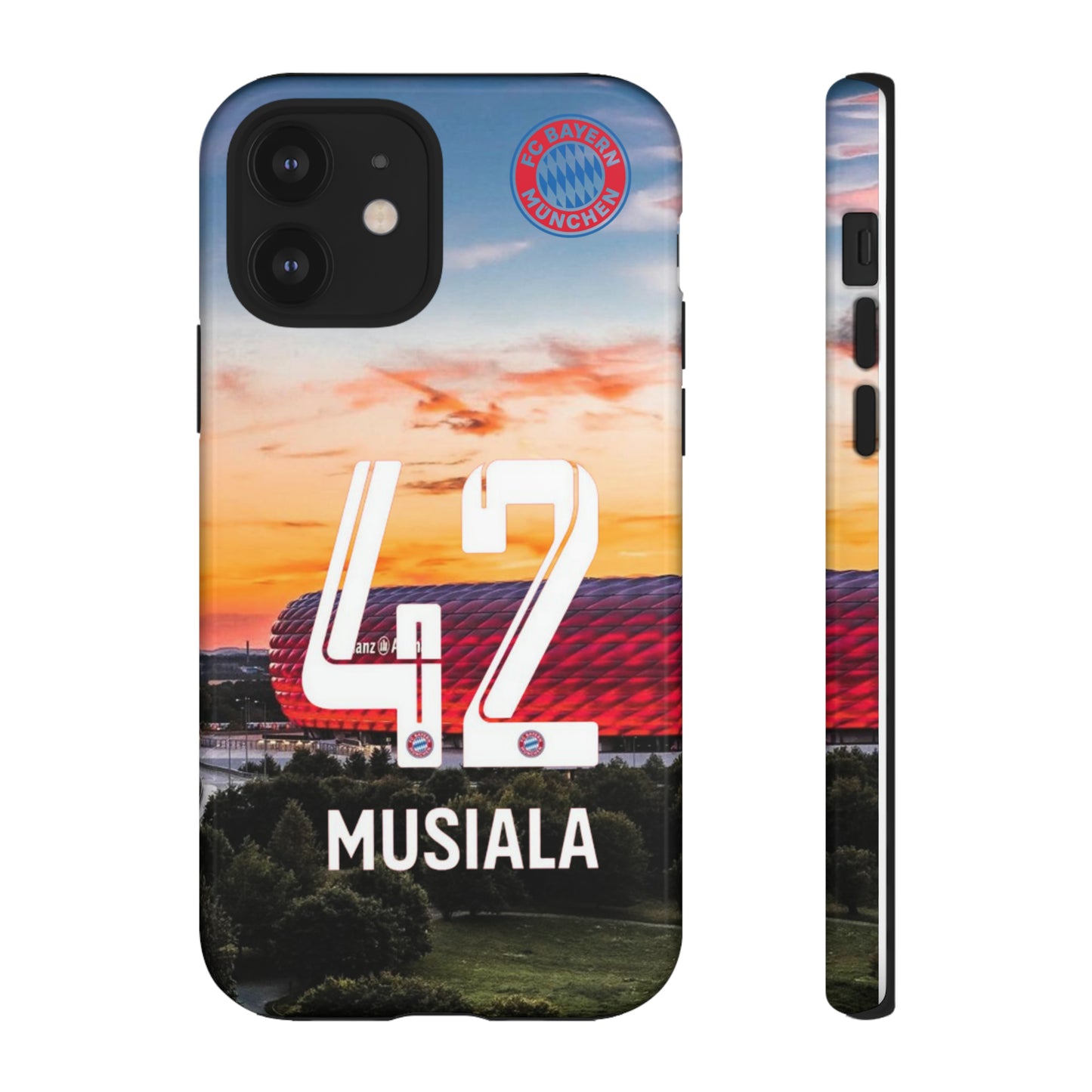 Allianz Arena Case
