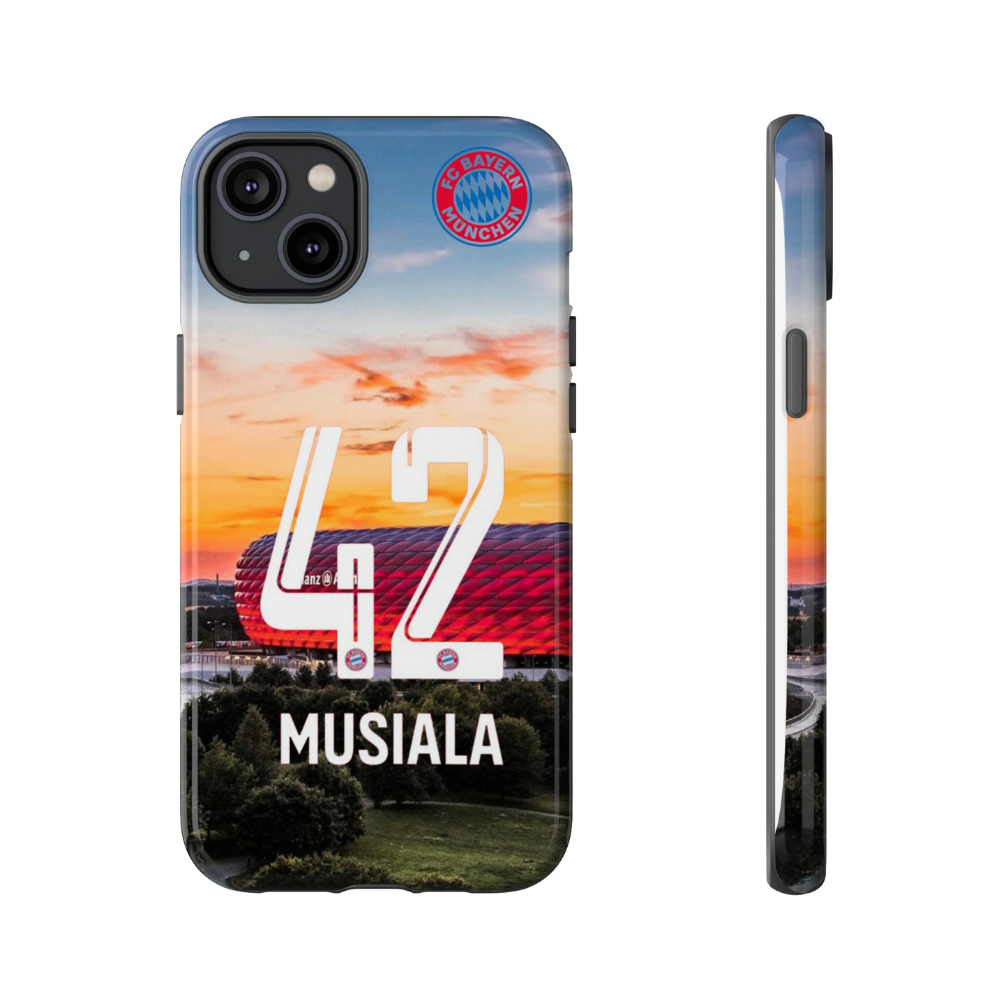Allianz Arena Case