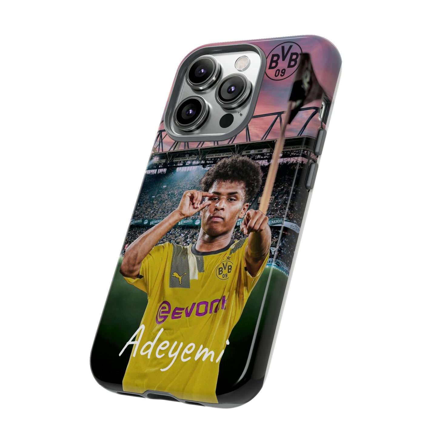 Adeyemi BVB Case