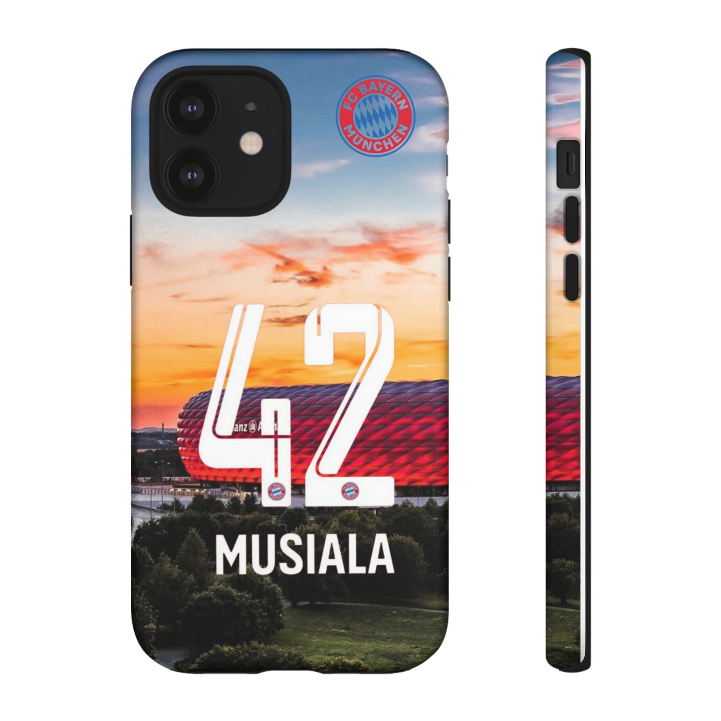 Allianz Arena Case