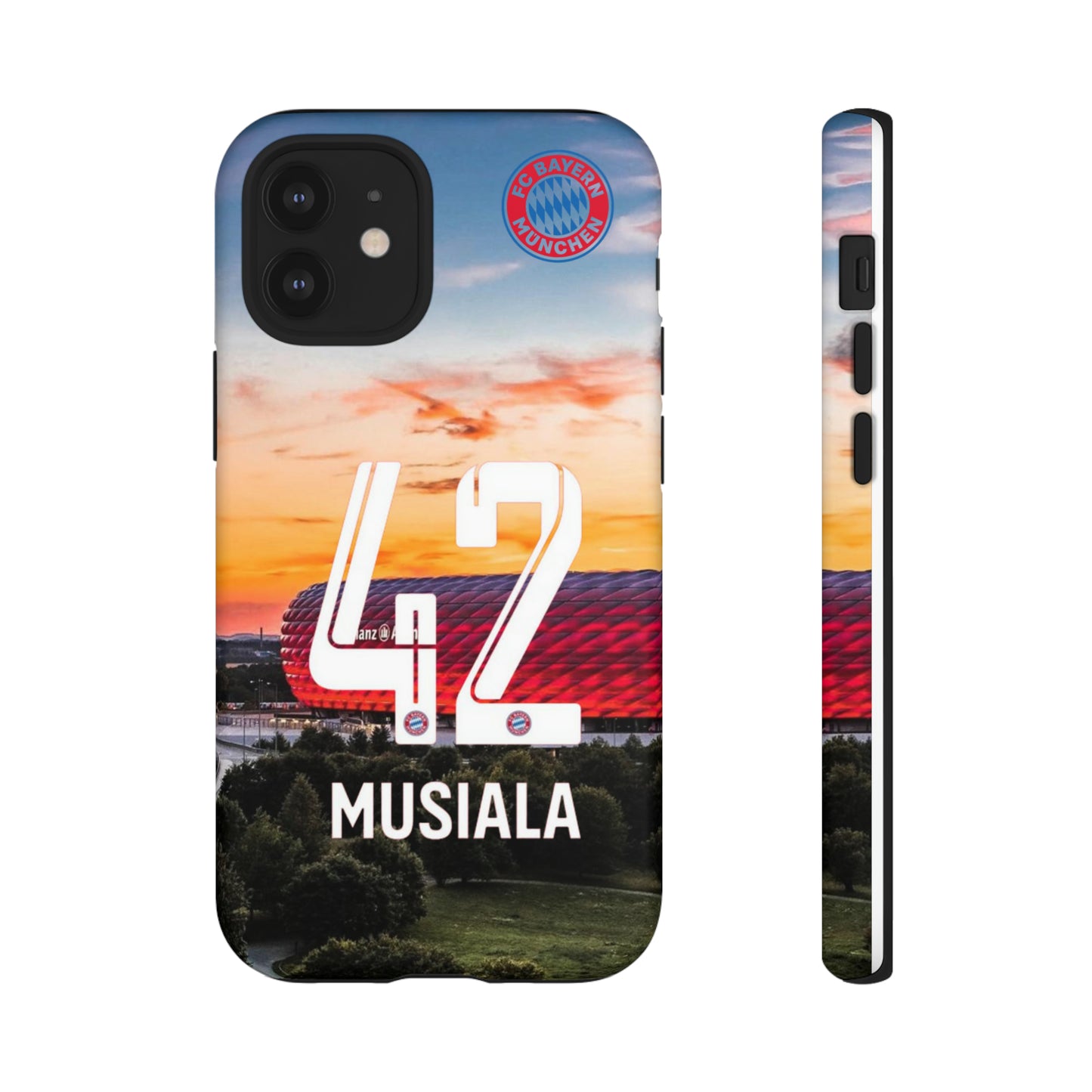 Allianz Arena Case