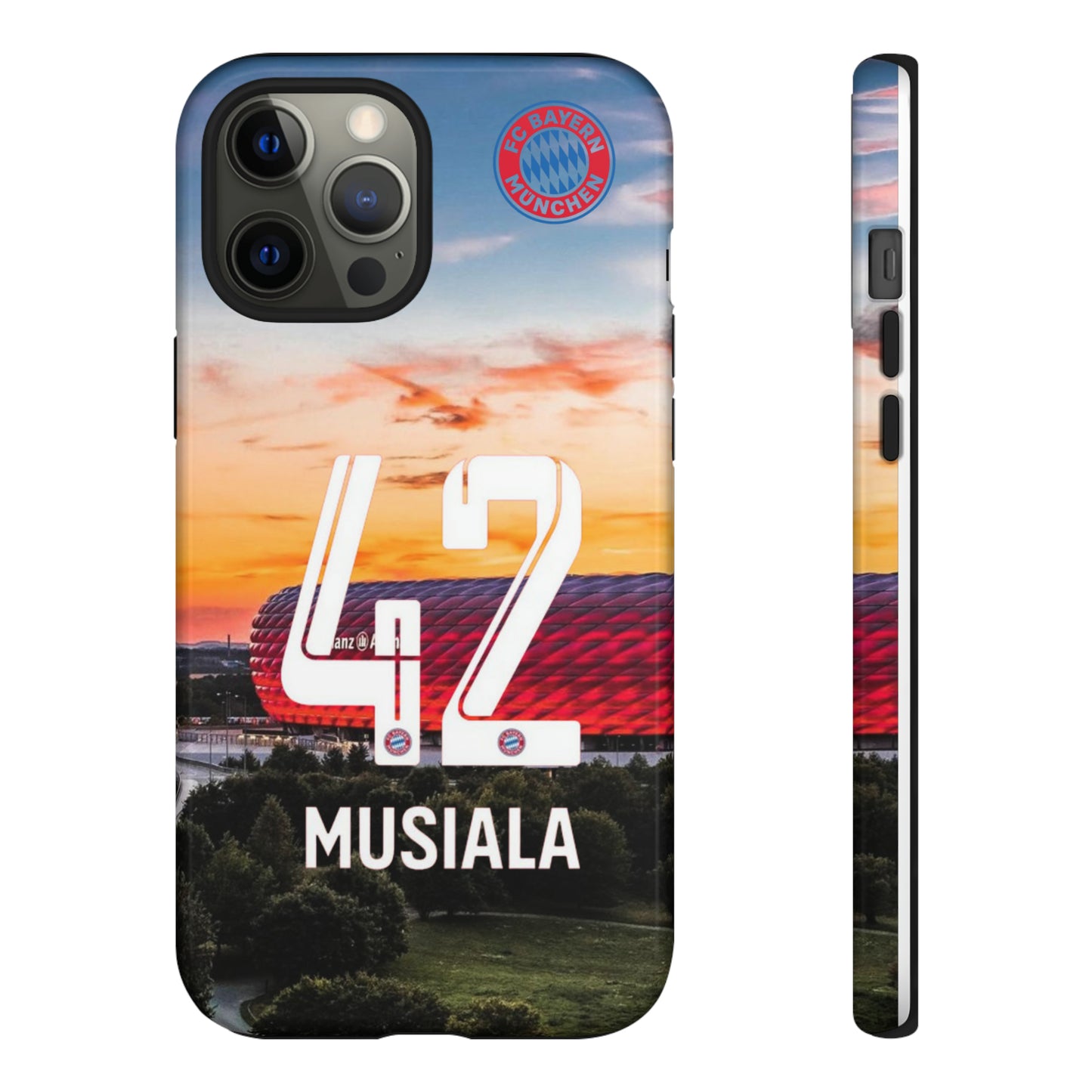 Allianz Arena Case