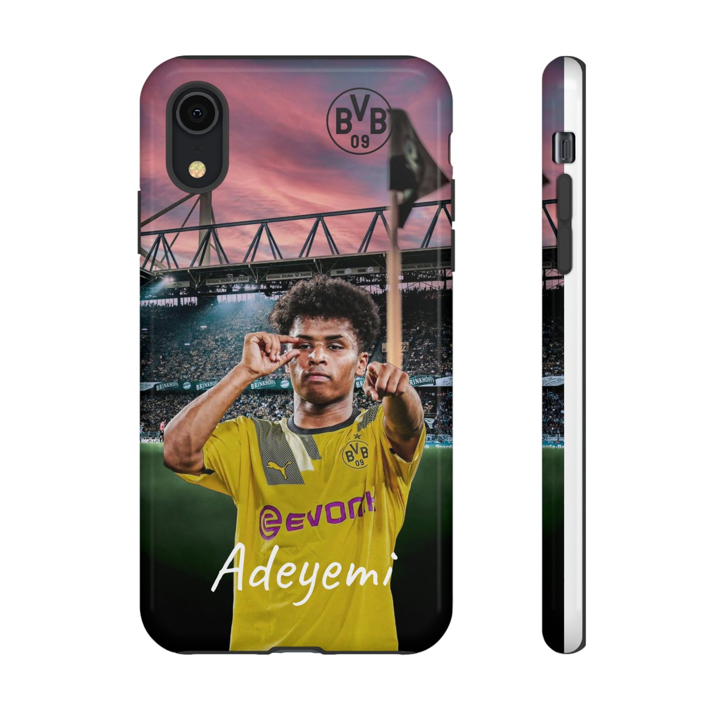 Adeyemi BVB Case