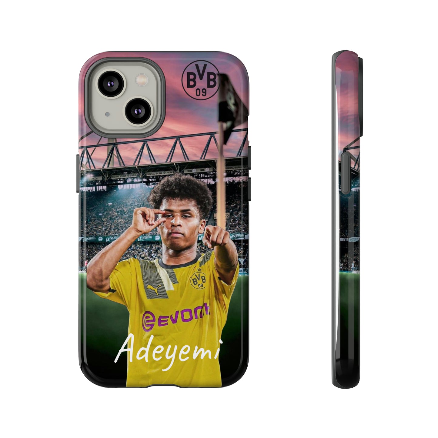Adeyemi BVB Case
