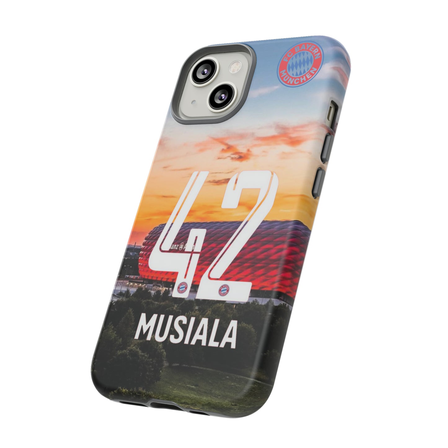 Allianz Arena Case