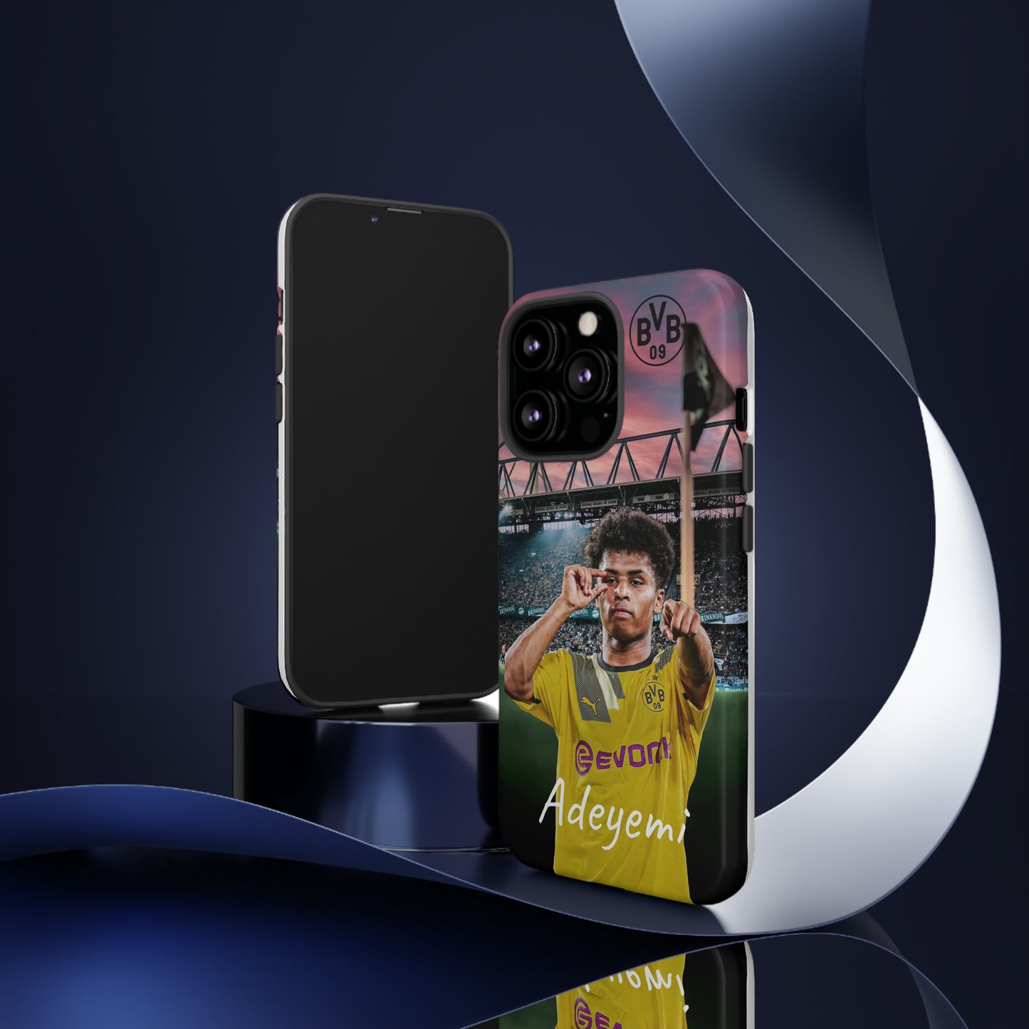 Adeyemi BVB Case