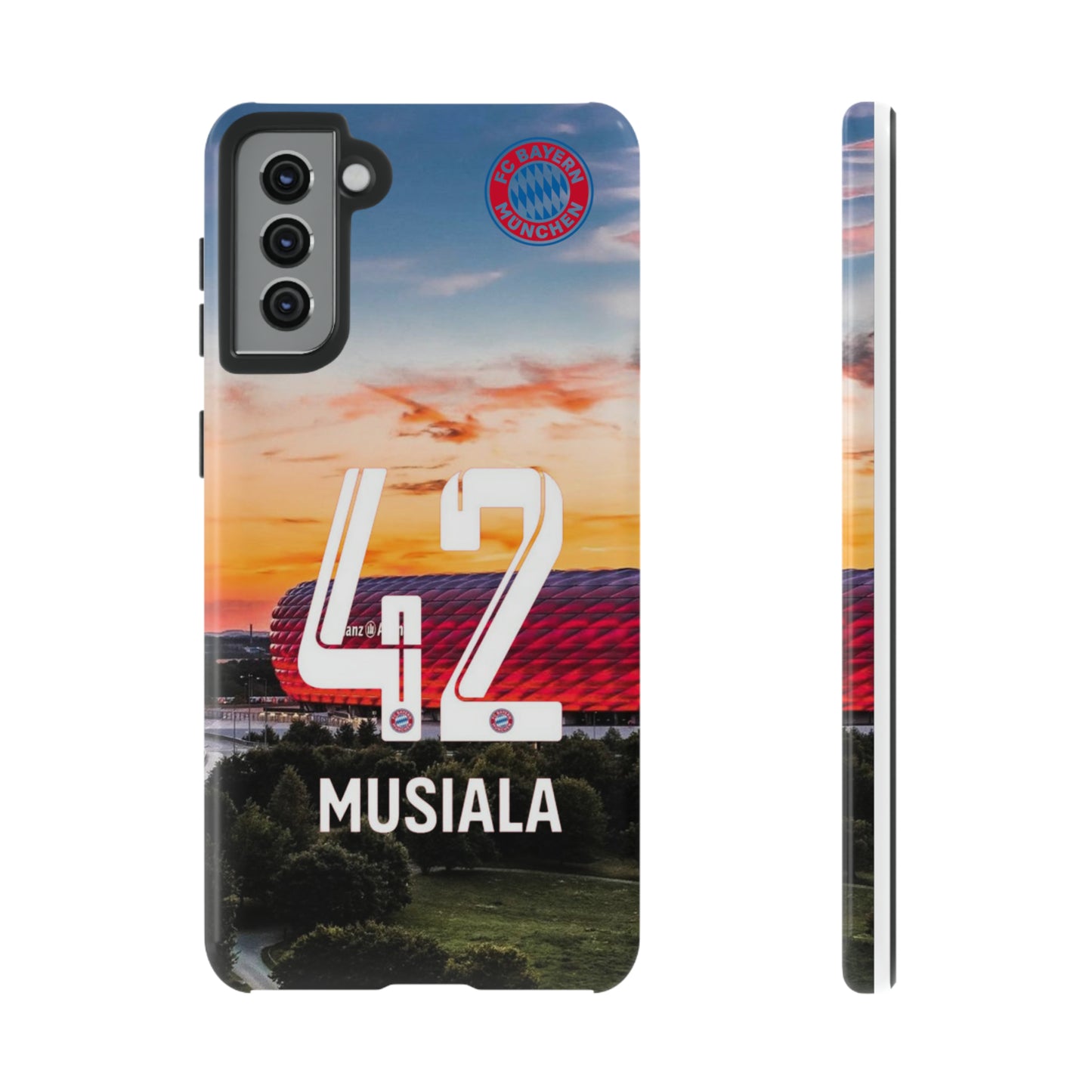 Allianz Arena Case