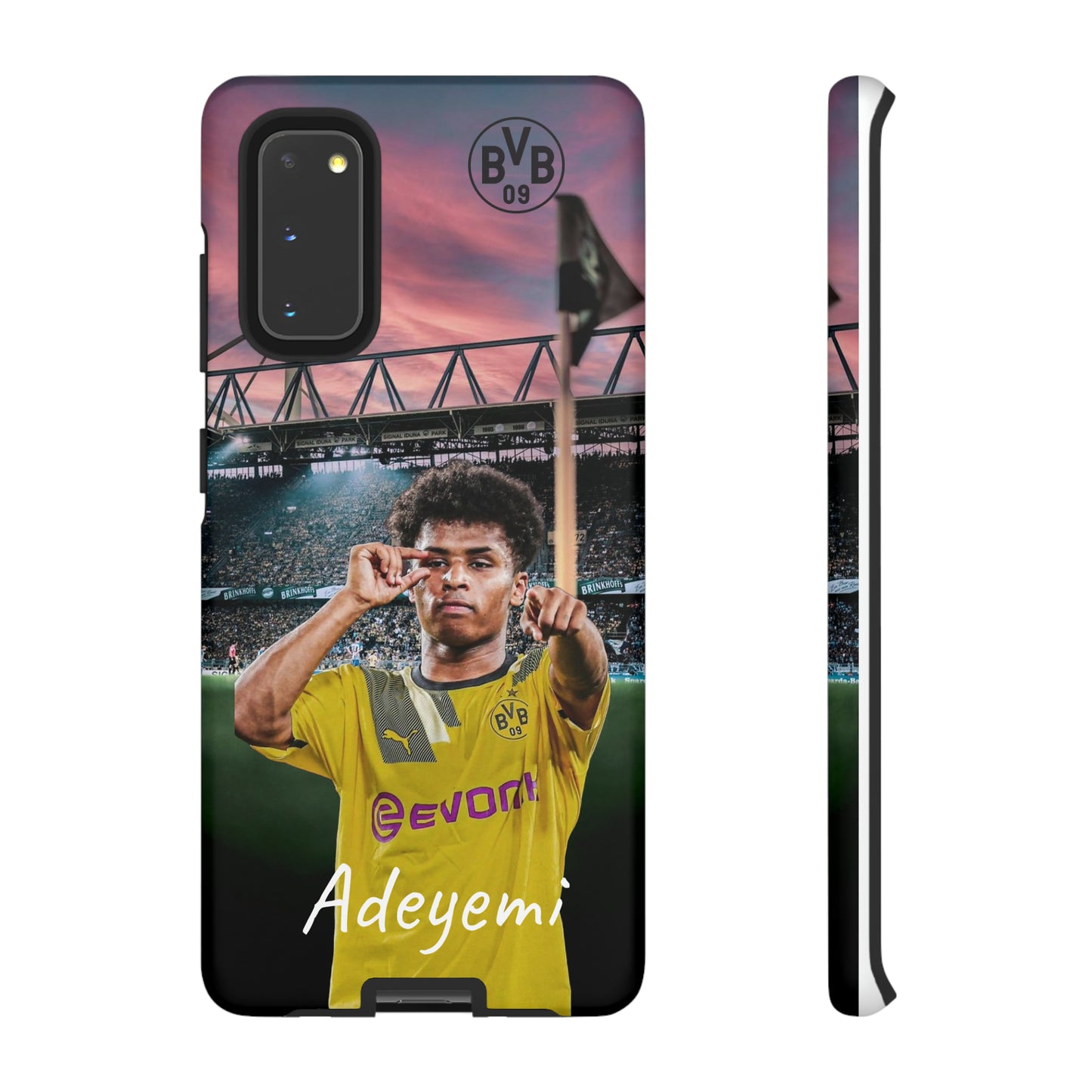 Adeyemi BVB Case