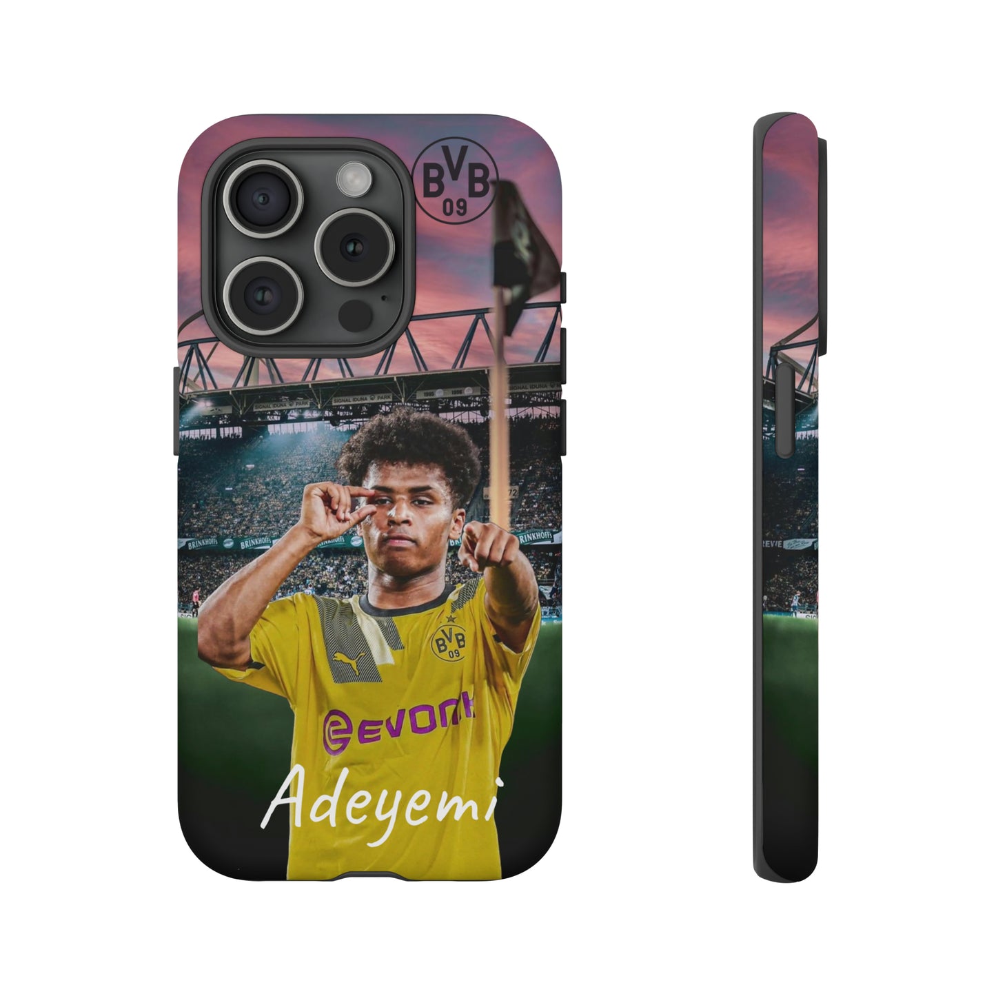 Adeyemi BVB Case