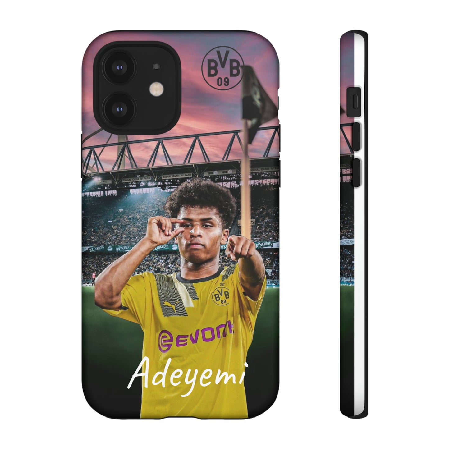 Adeyemi BVB Case