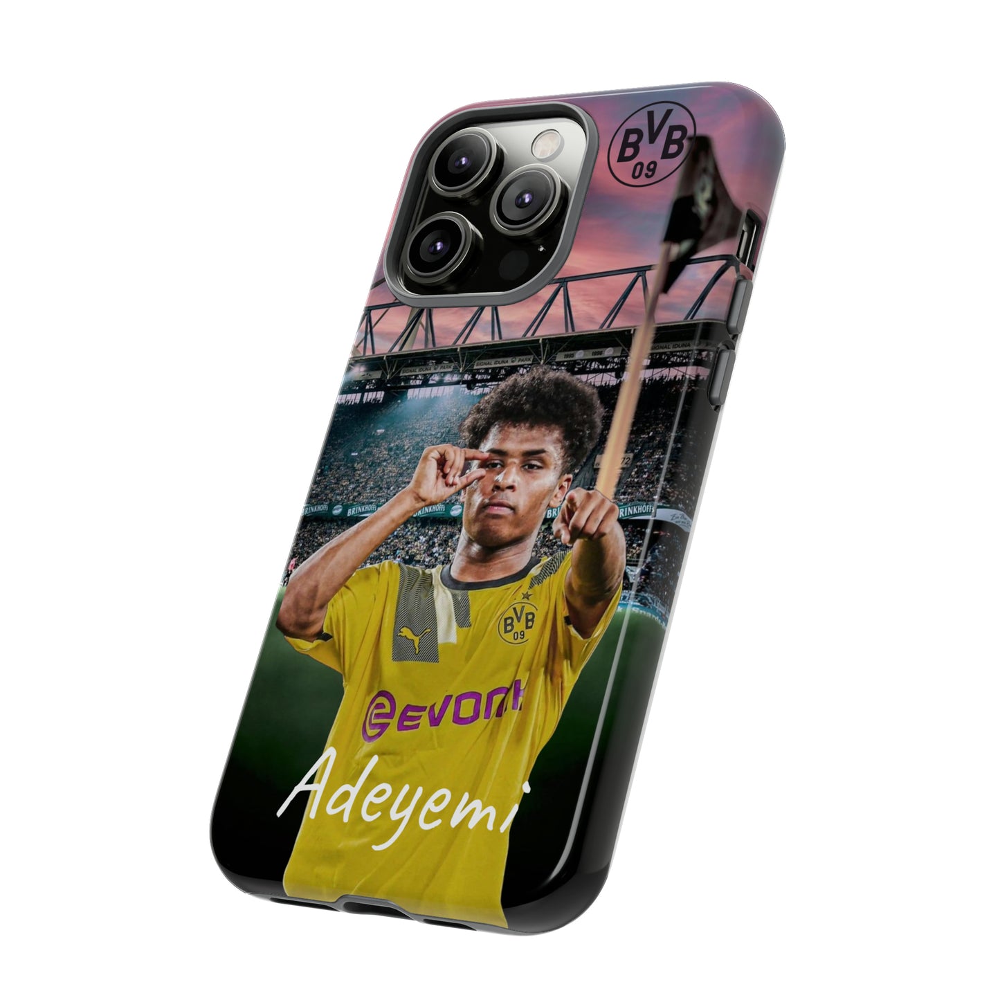 Adeyemi BVB Case