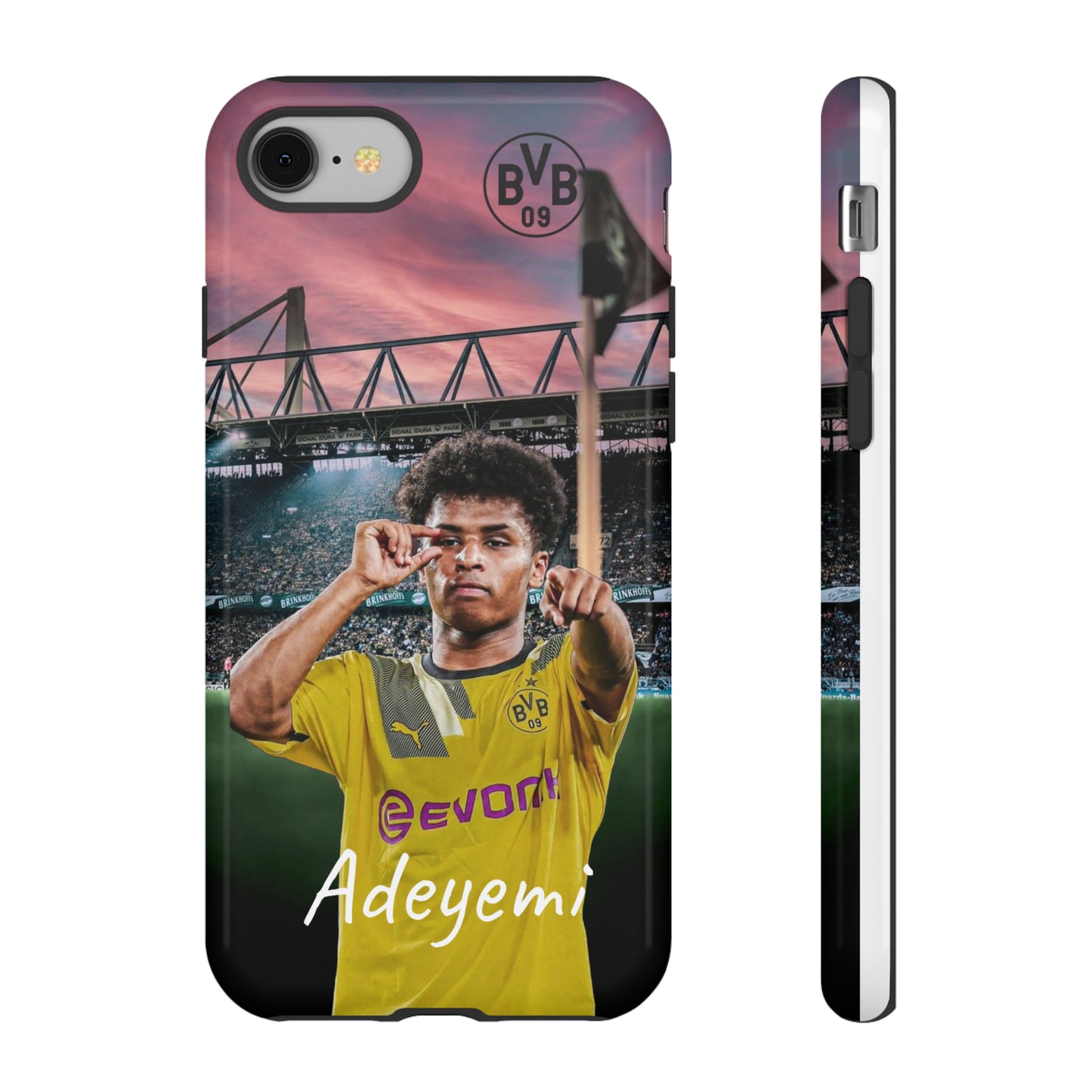 Adeyemi BVB Case