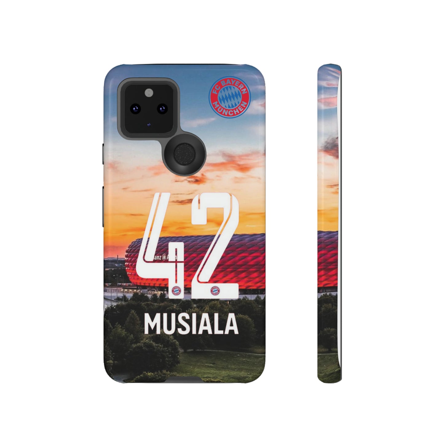 Allianz Arena Case