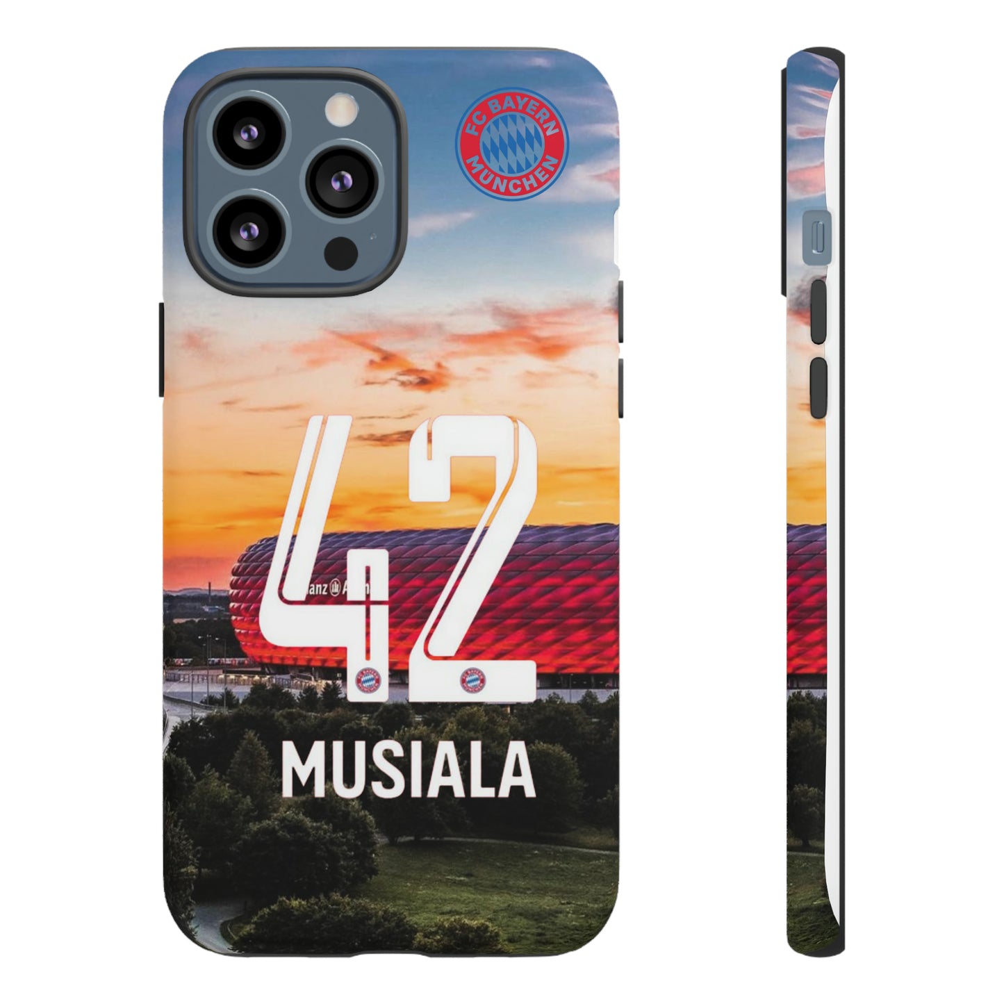Allianz Arena Case