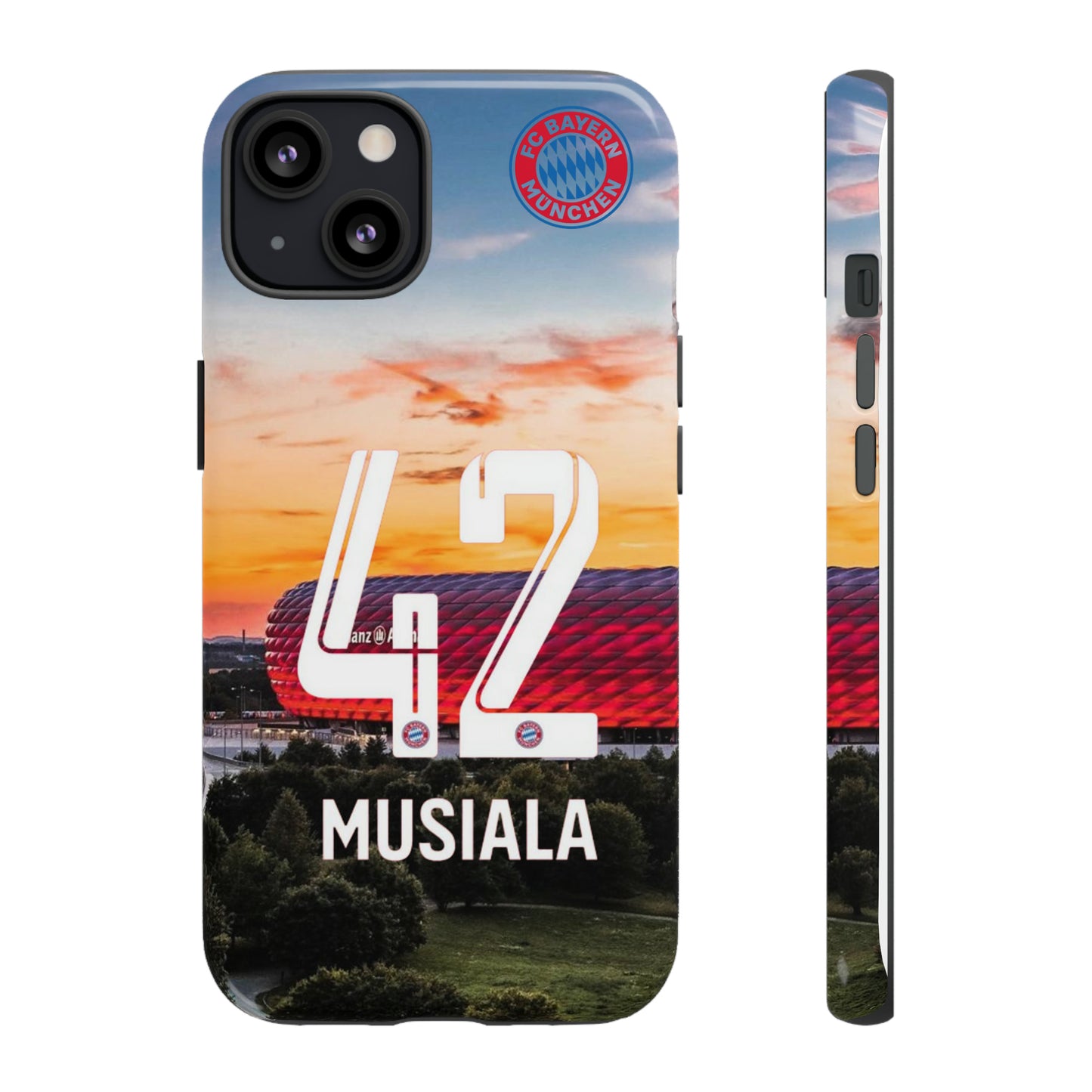 Allianz Arena Case