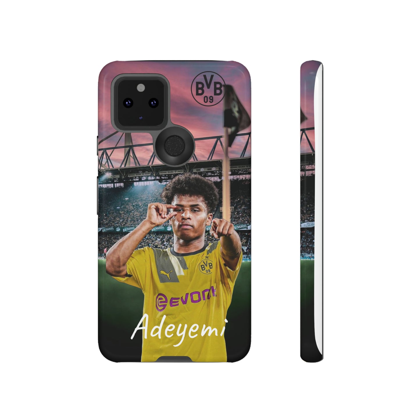 Adeyemi BVB Case
