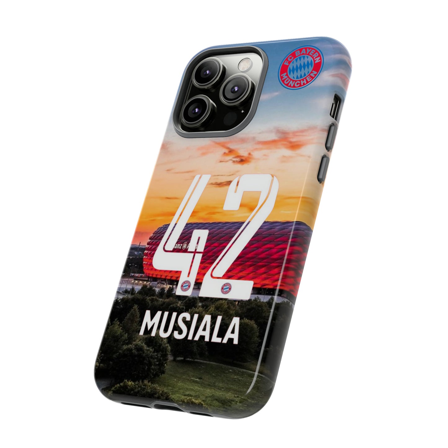 Allianz Arena Case