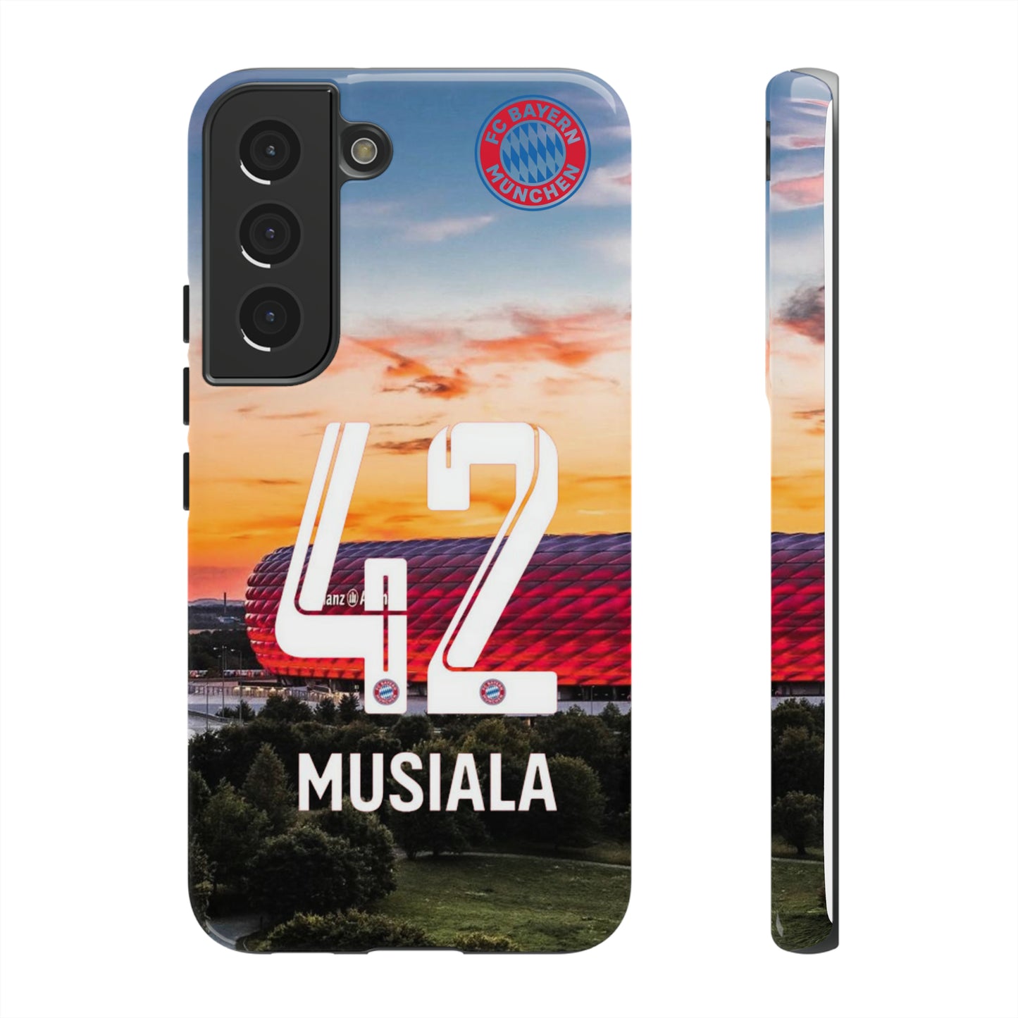 Allianz Arena Case