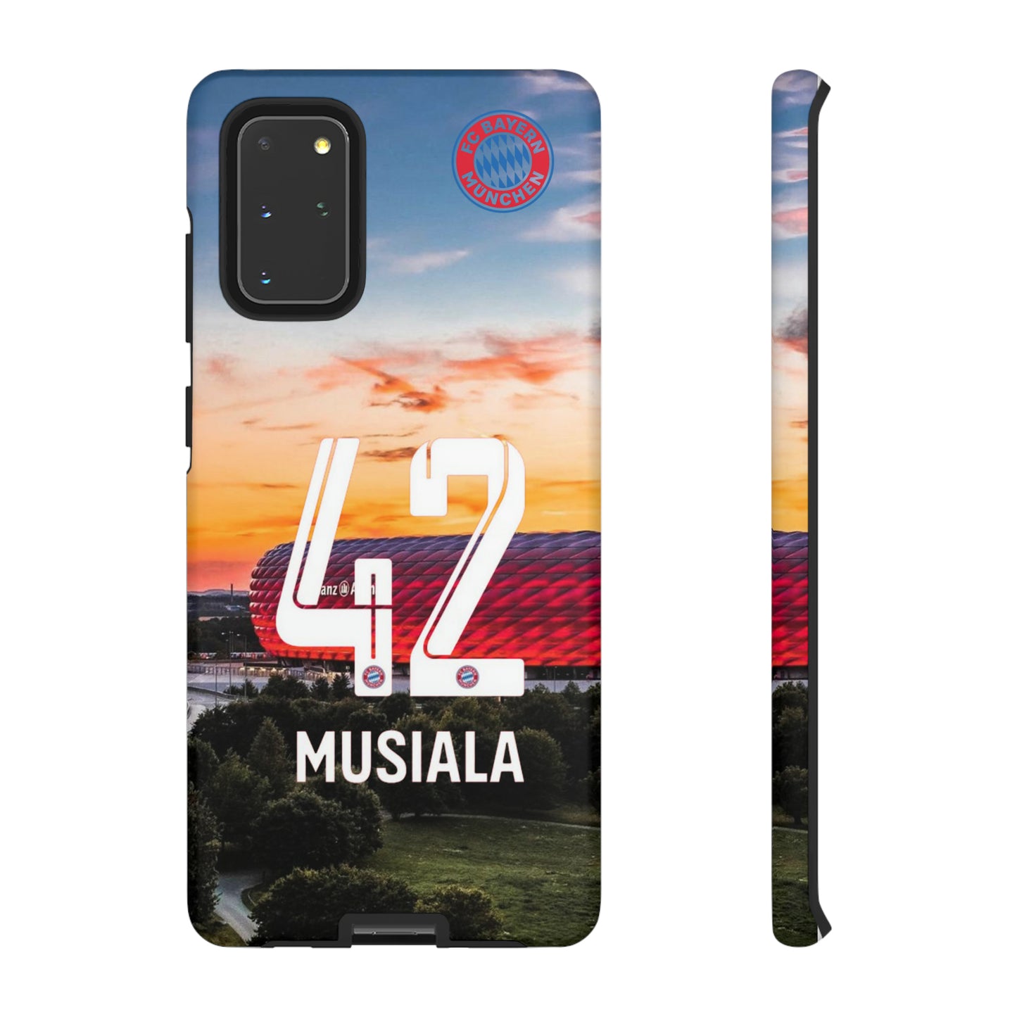 Allianz Arena Case