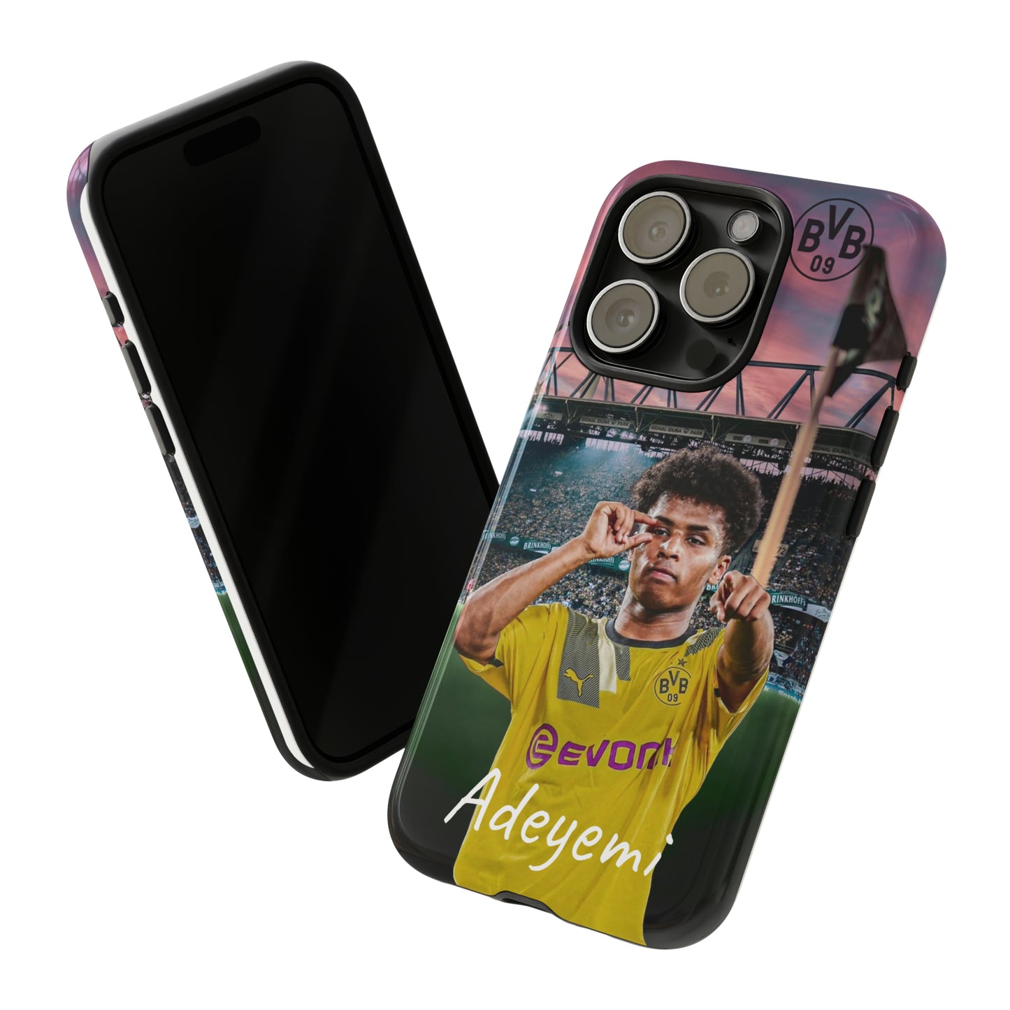 Adeyemi BVB Case